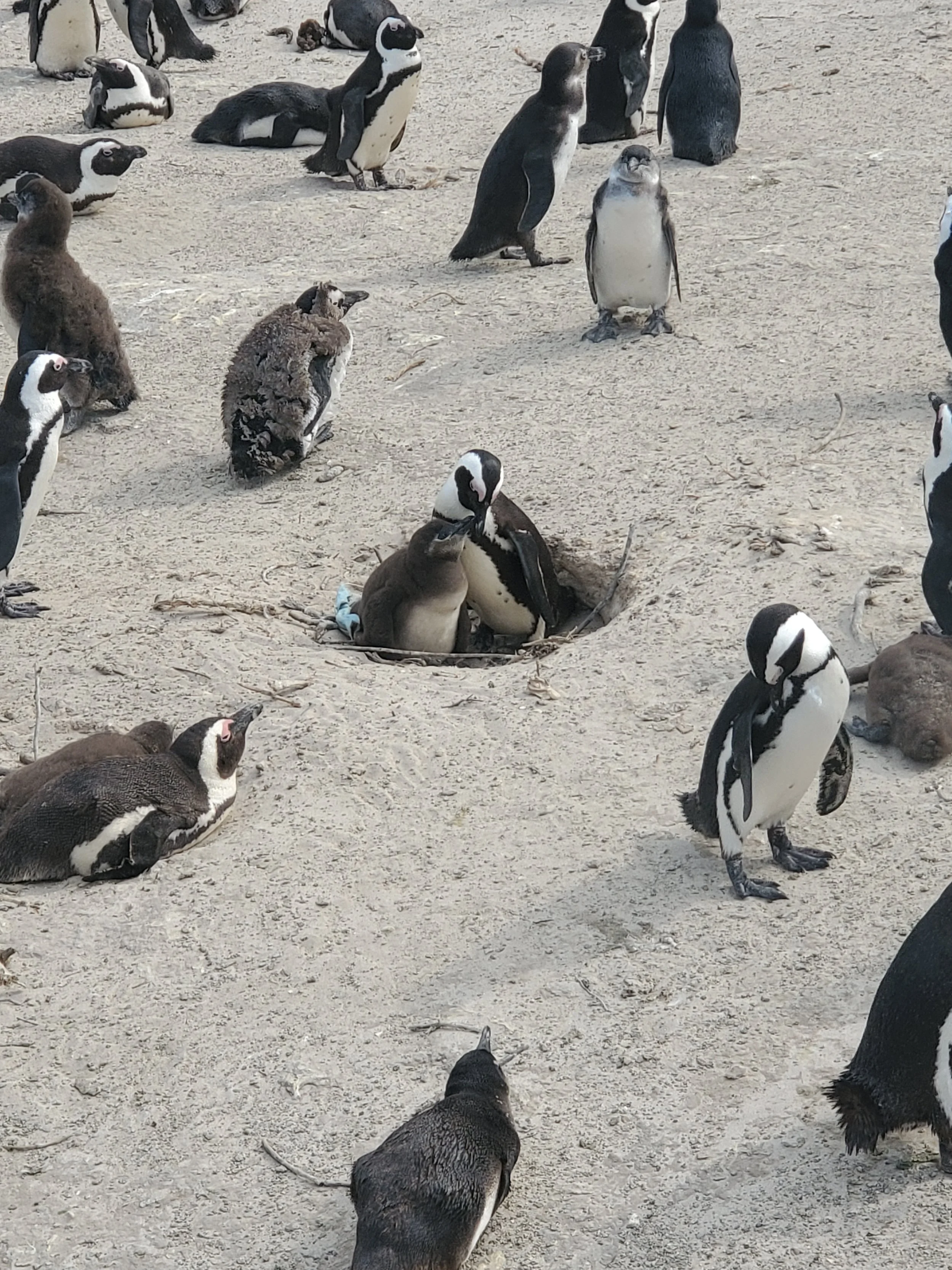 20221009_151426 (1).jpg