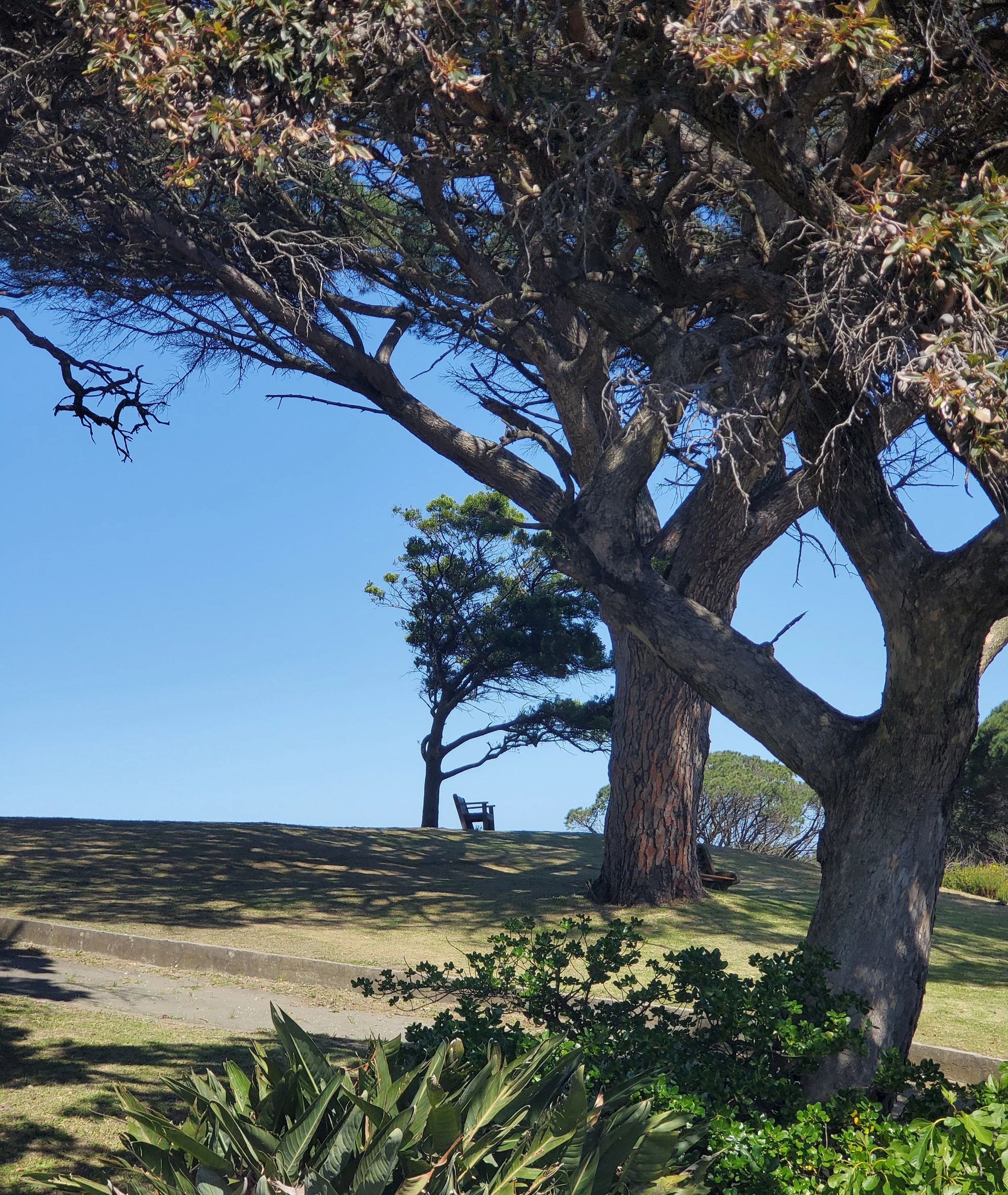 20221007_210443 (2).jpg