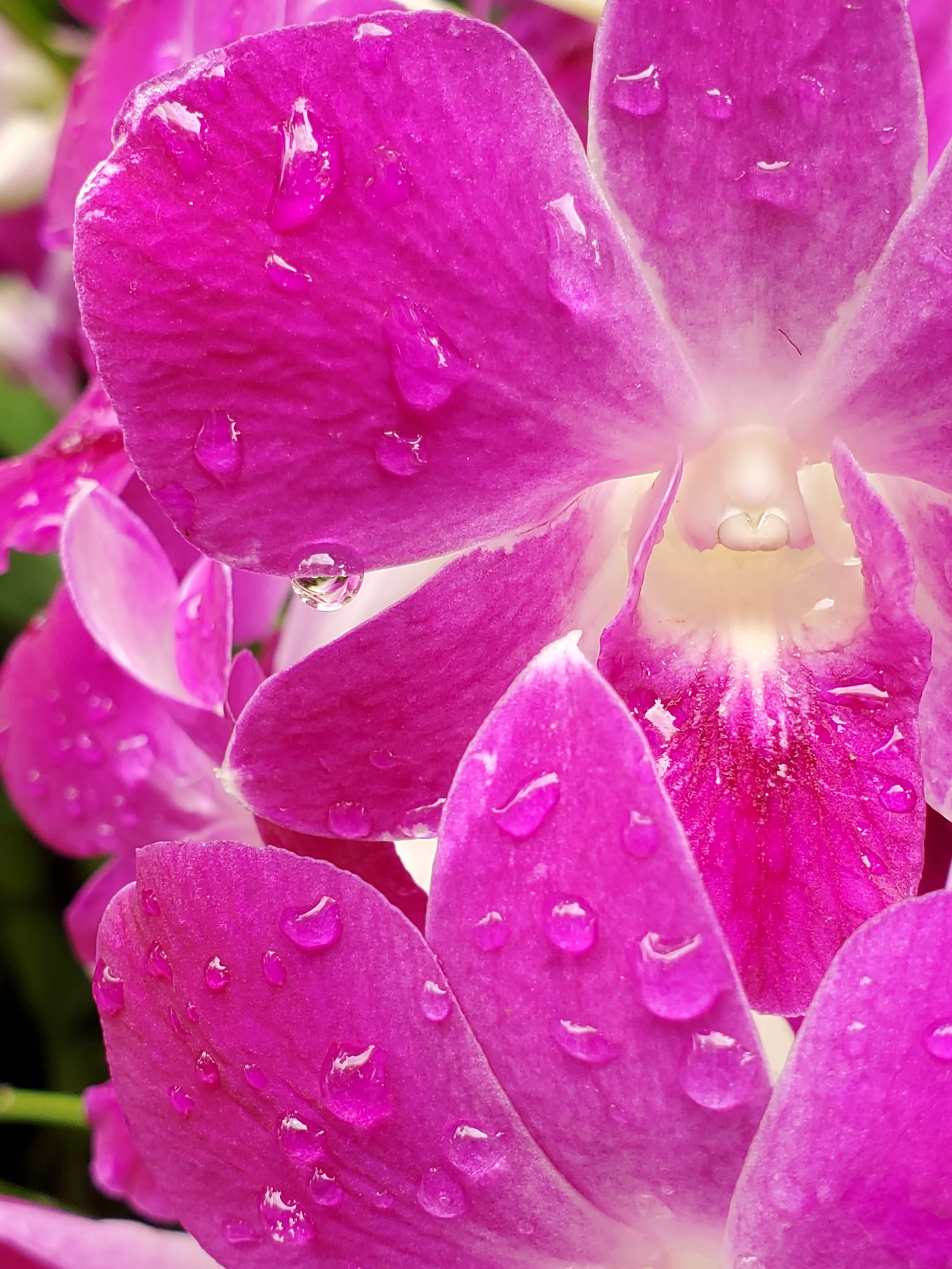 20200216_112040 (1).jpg