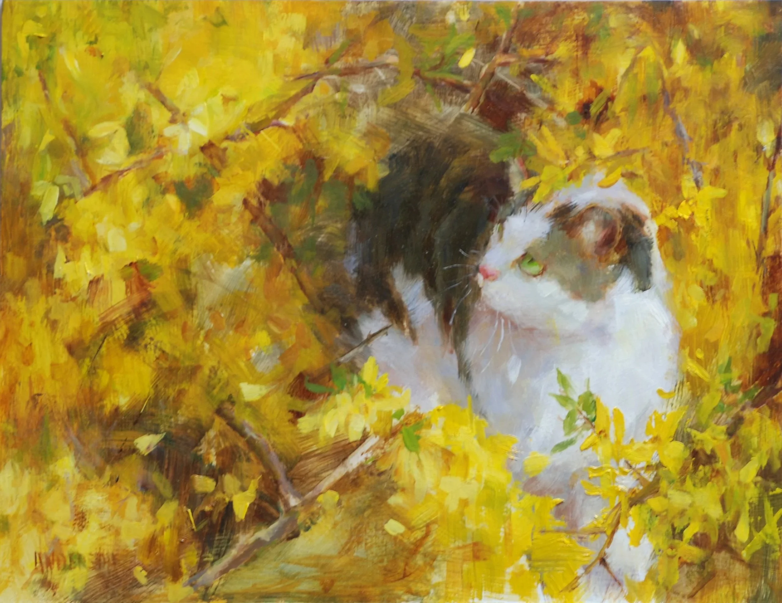 Kathy Anderson, Beauty IV Resting in Gold, 11x14, $2,400 