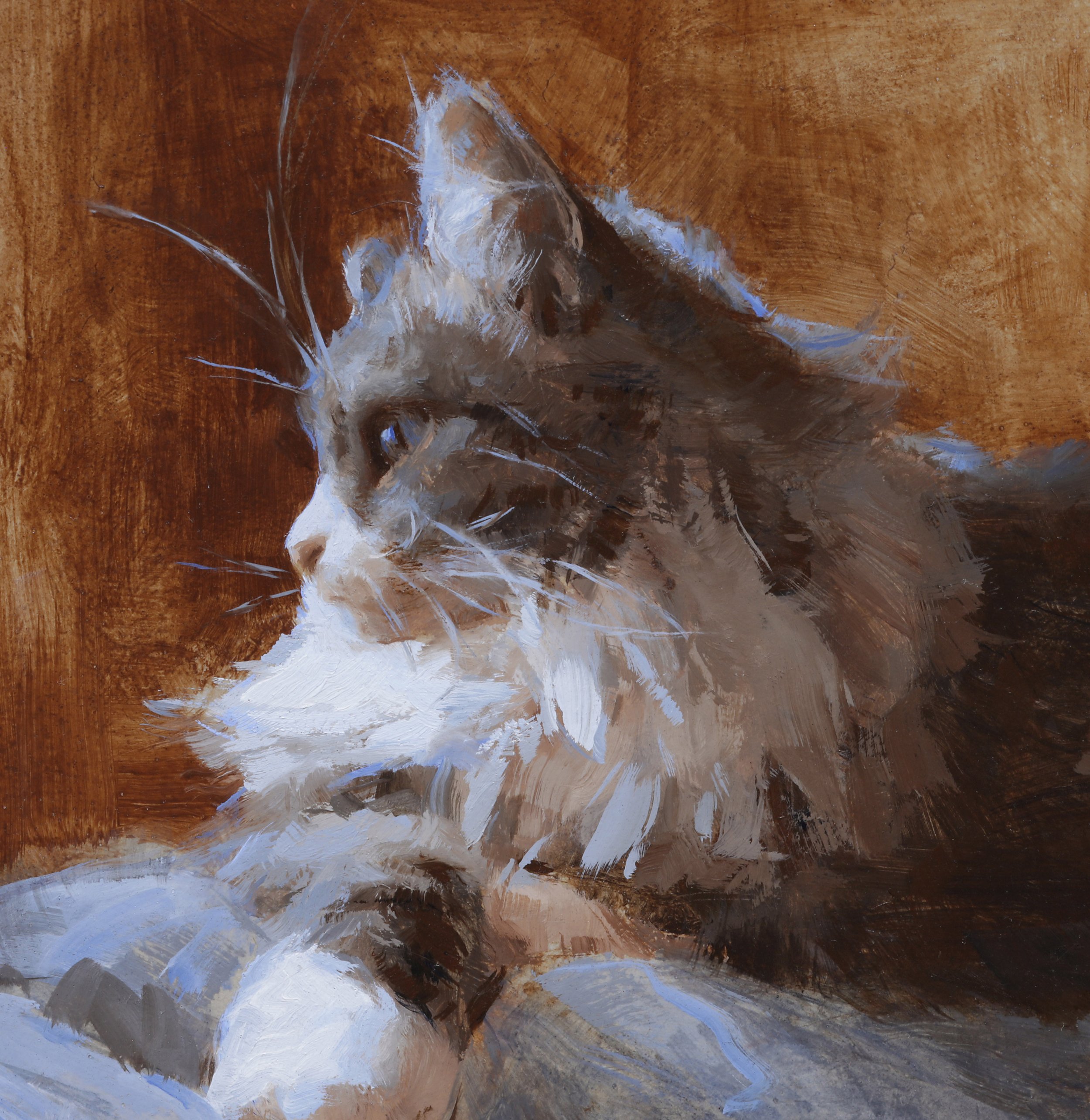 Theo at Rest - Presale open Oct 29th