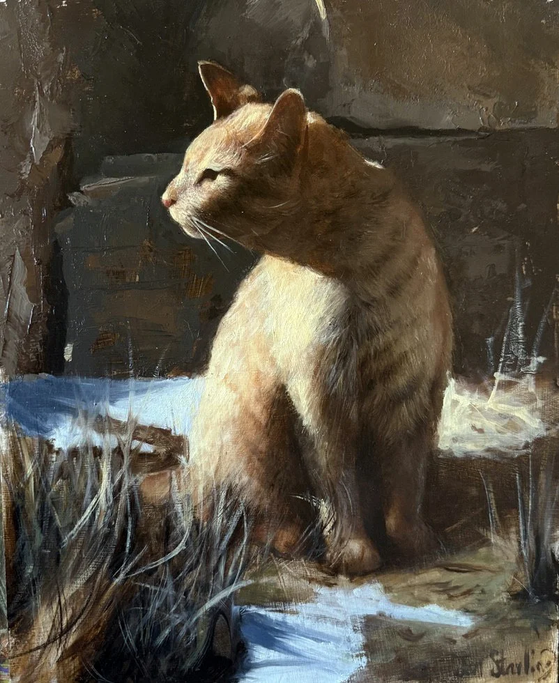 Jen Starling, 
Afternoon Walkabout, 
11"x 14", 
oil on panel, 
$2300