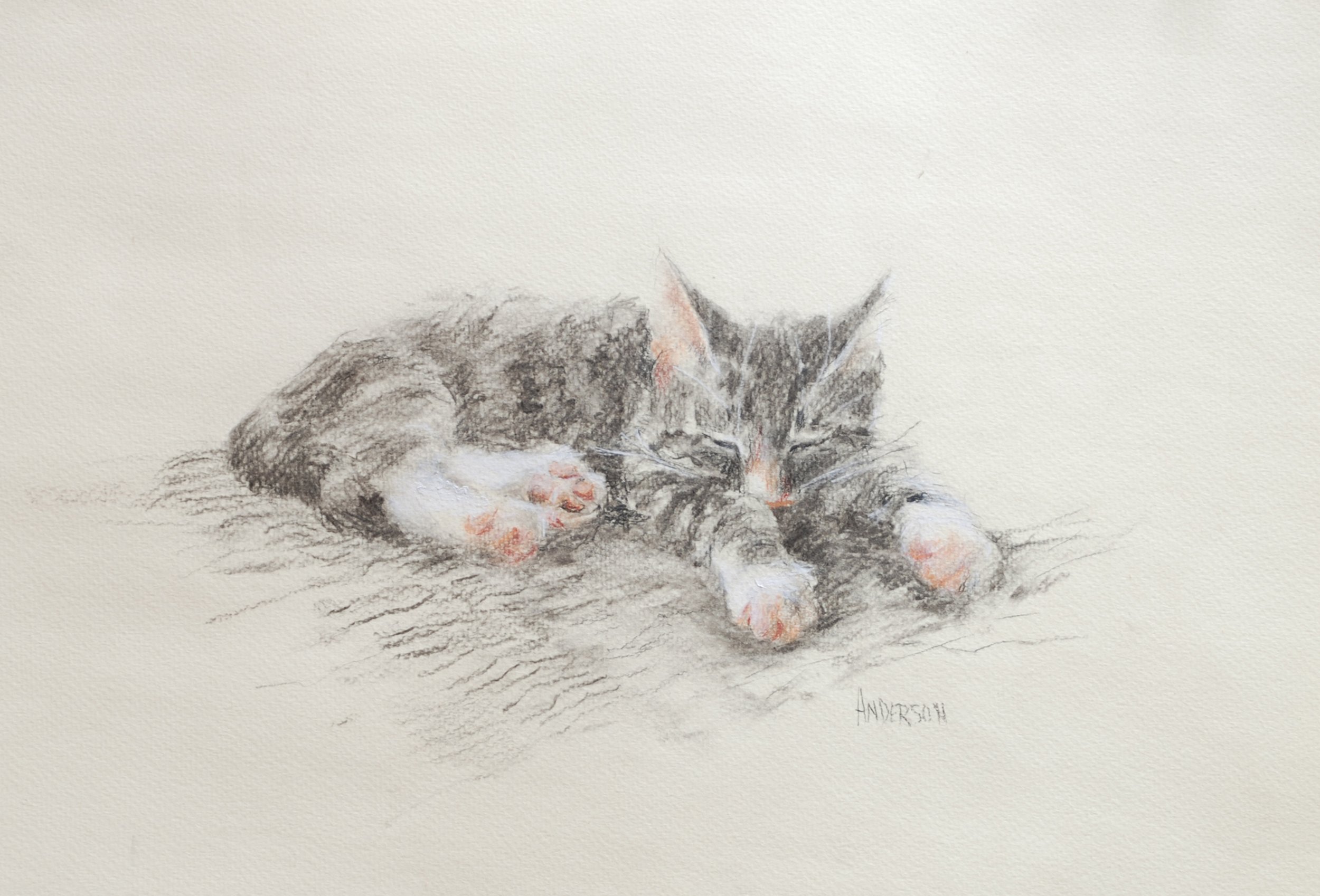 Kathy Anderson, Paco Innocence, 8 X 12, Charcoal, $350