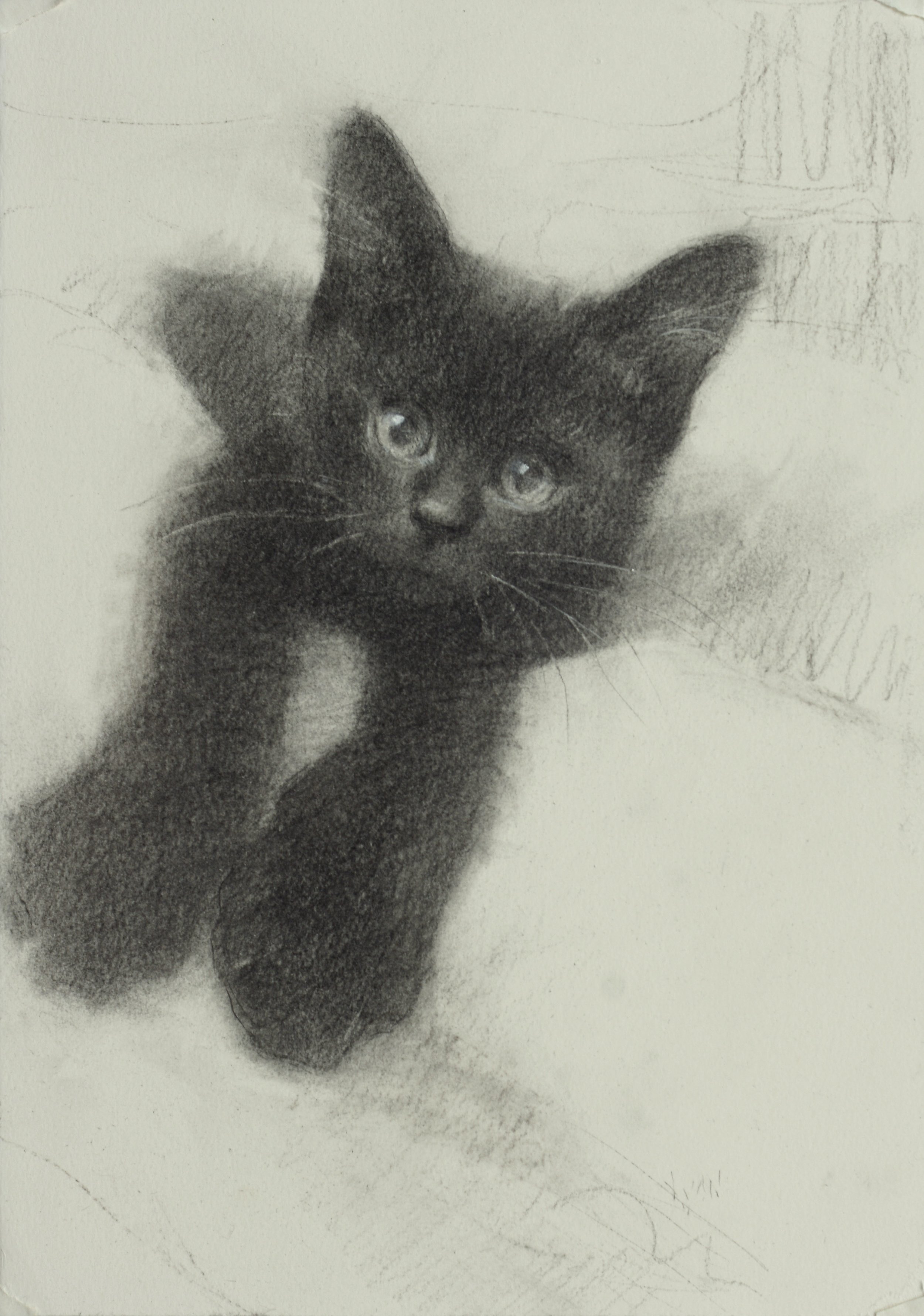 Fig in the bed sheets