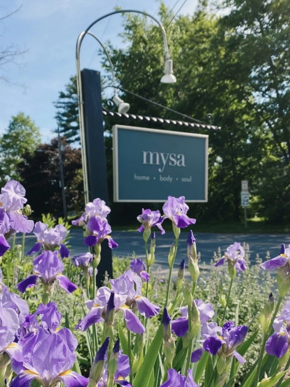 Mysa.jpg