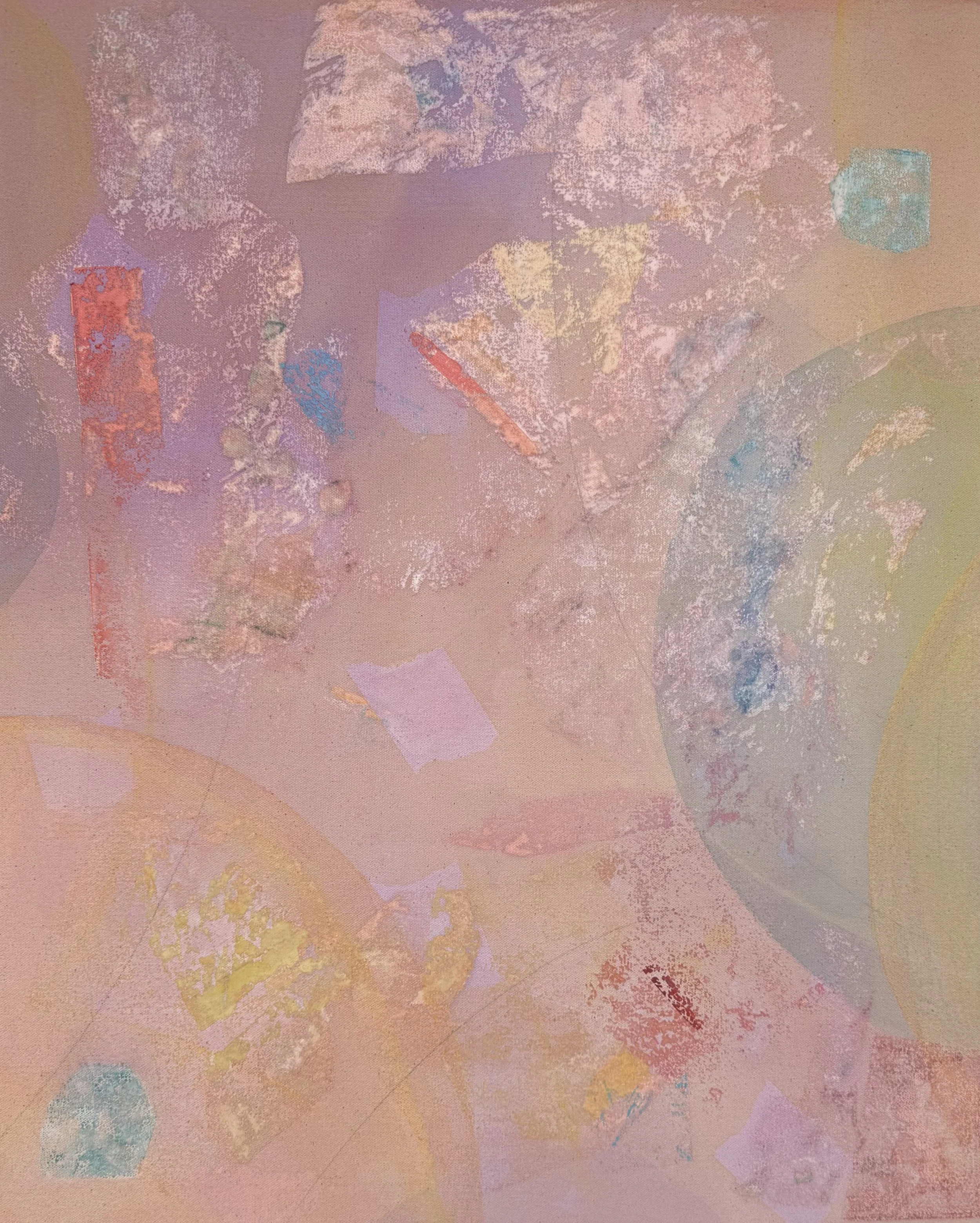 PINK BRAGGADOCIO, 2025, combined media on canvas, 25×20 inches.