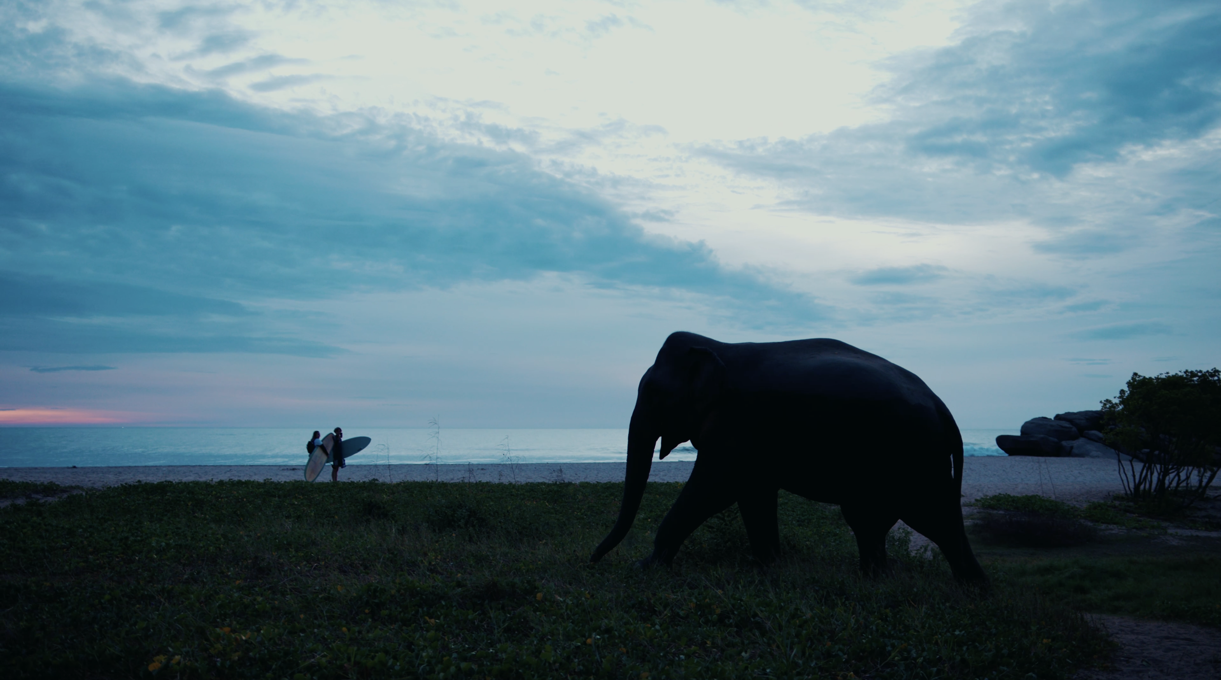Elephant surf landscape photo