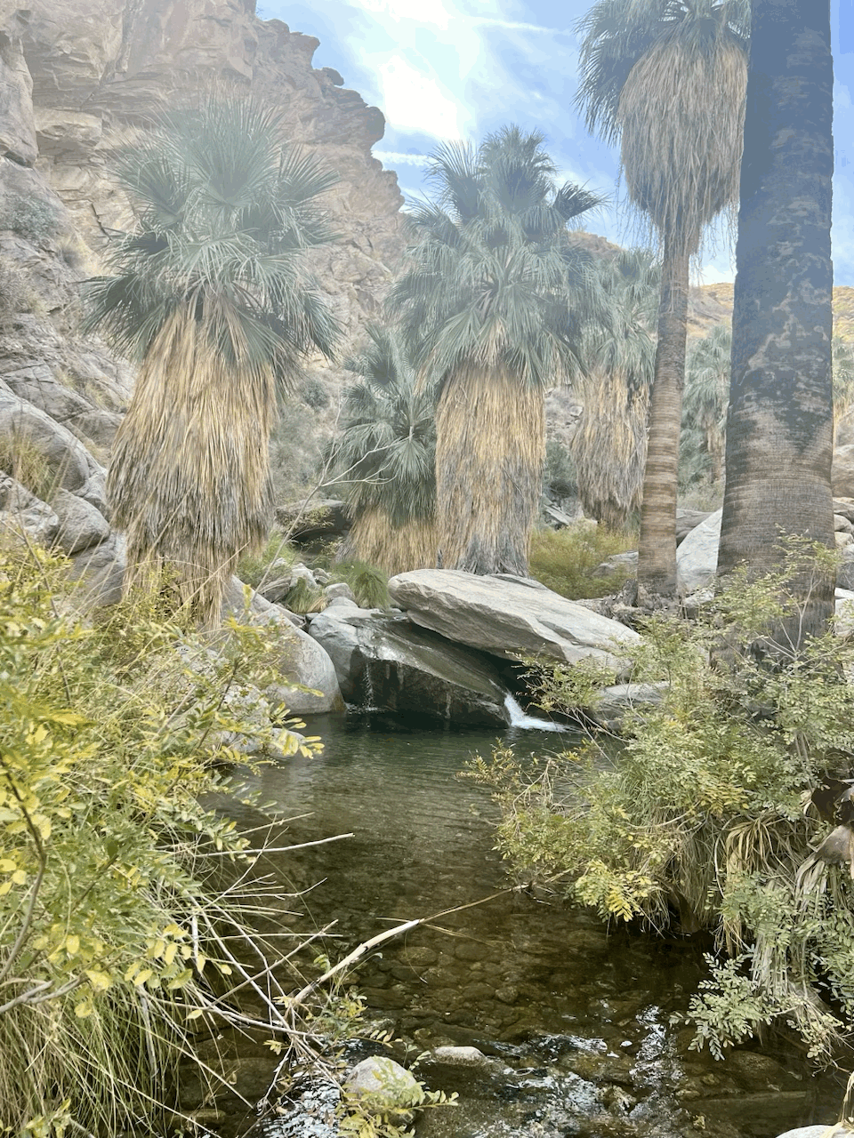 Desert Hikes In or Near Palm Springs & The Desert Shack