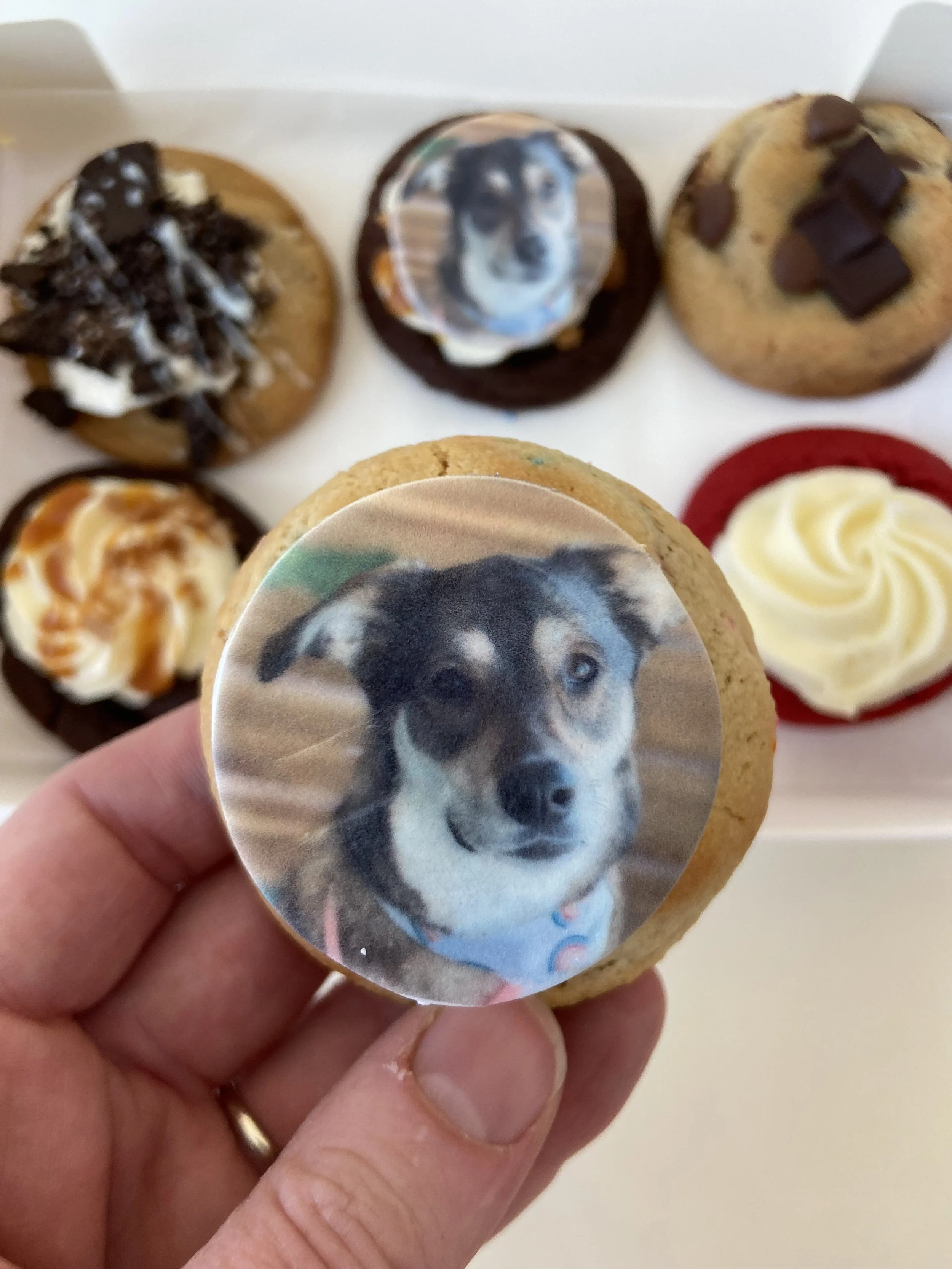 Classic Cookie Mix Gift Box - 6 pack of 1/4  sized cookies