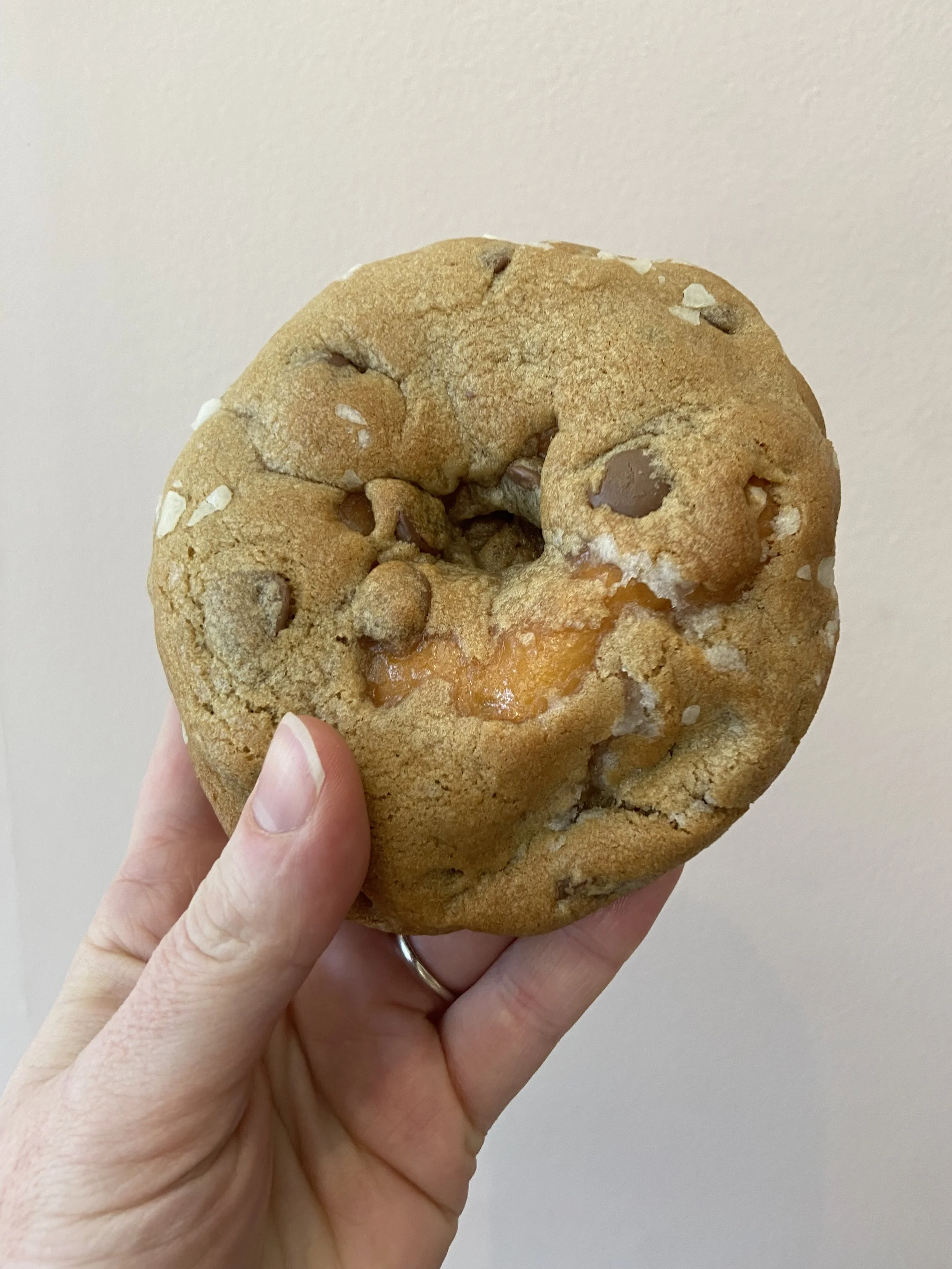 Glazie - The donut-cookie hybrid of your DREAMS!