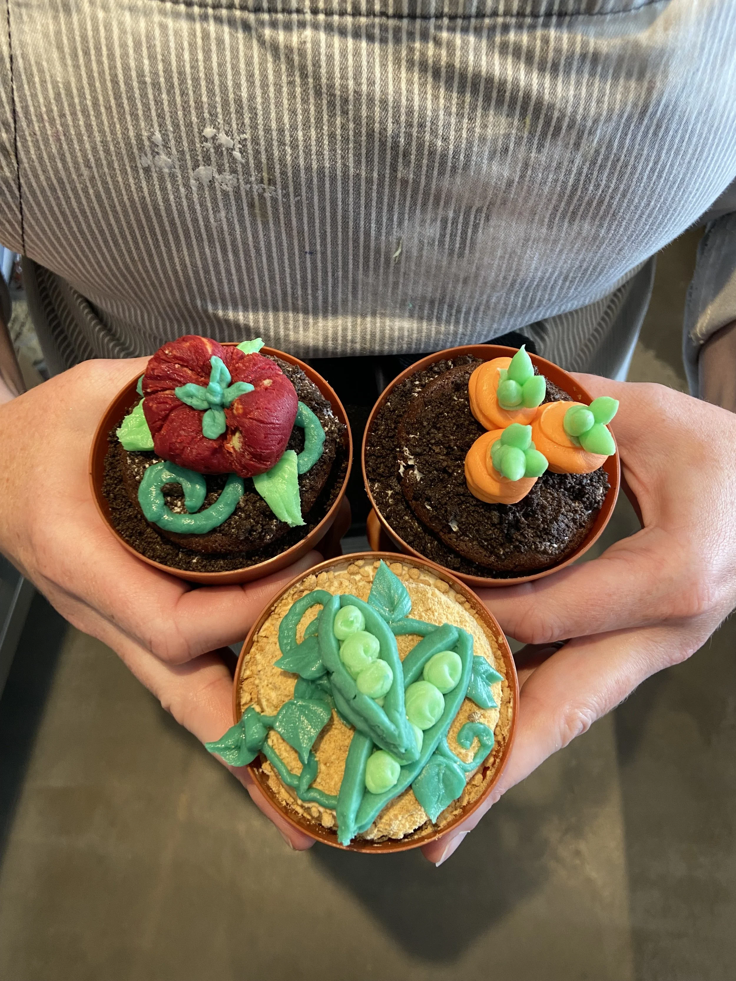 Vegetable Garden Parfait Pack!