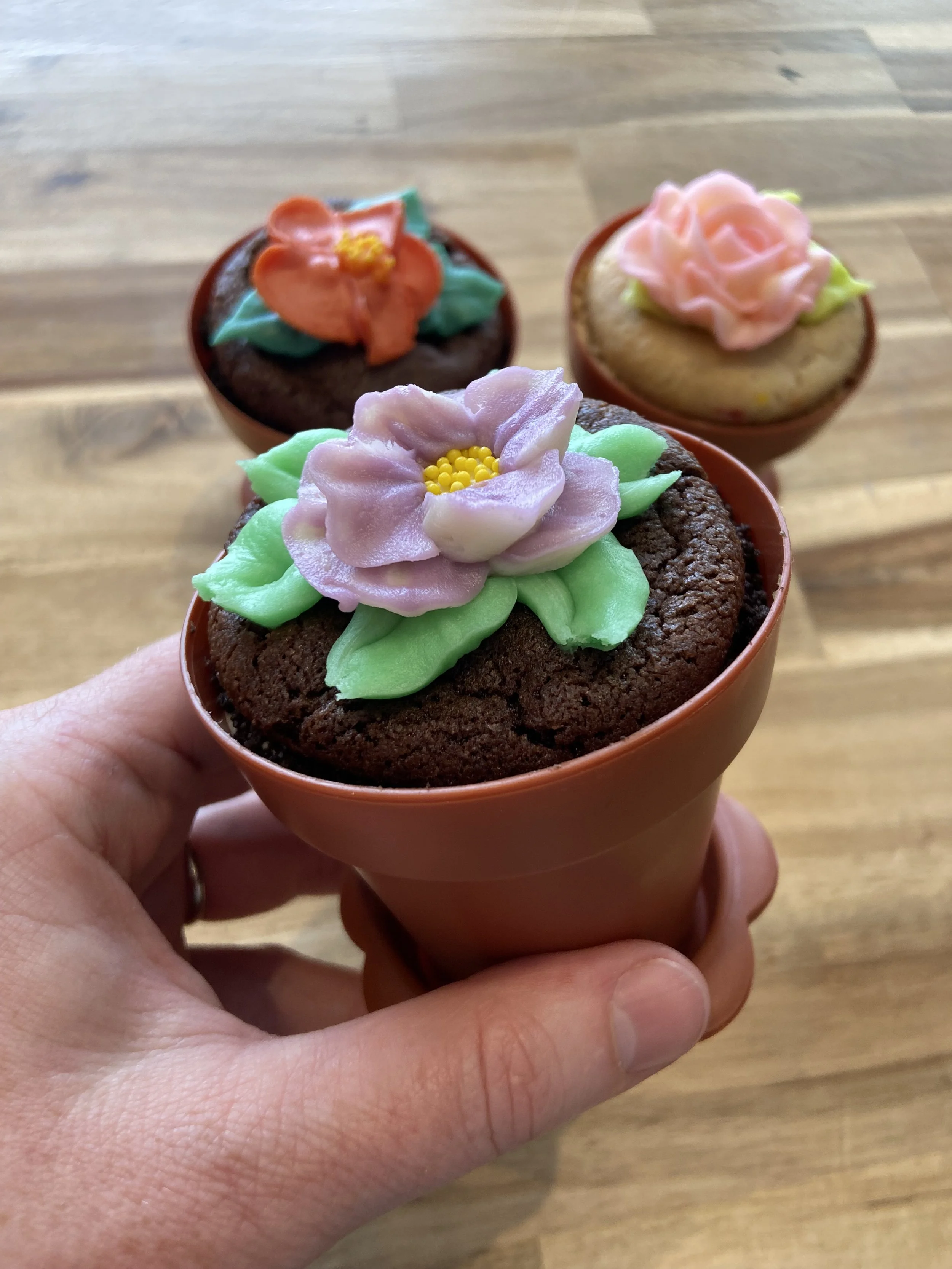 Flower Garden Parfait Pack!