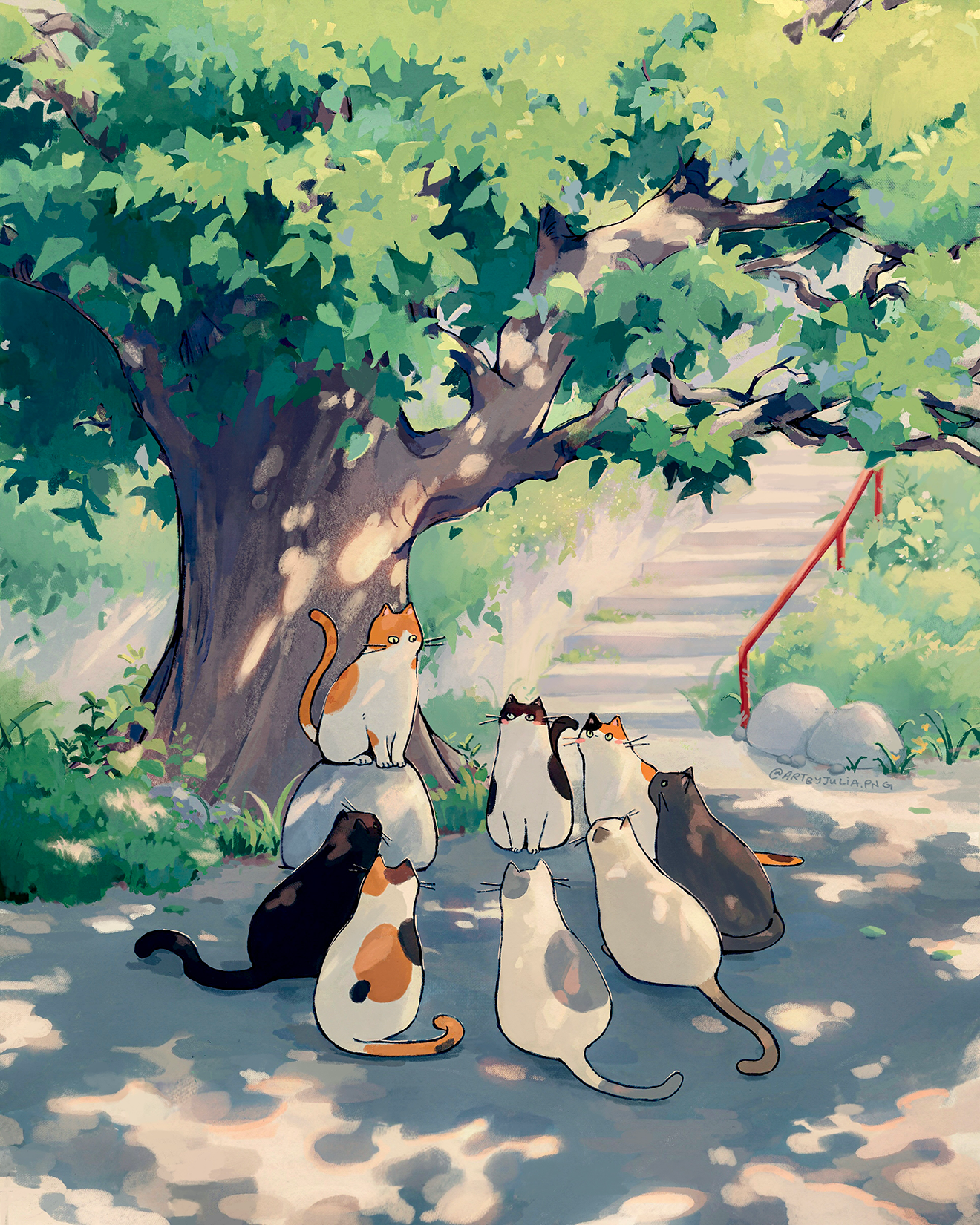 cat_congregatio.png
