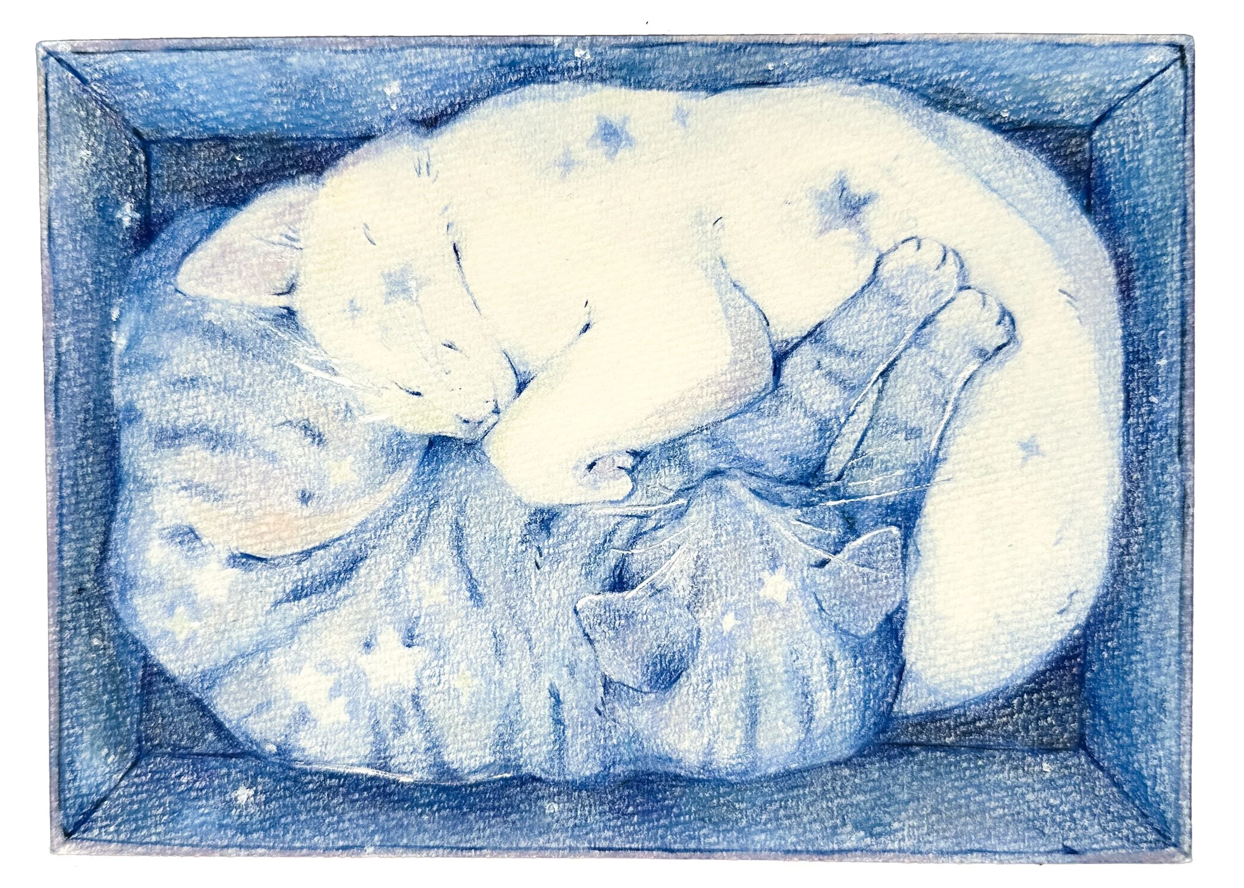 nucleus-postcard-2026-10.jpg