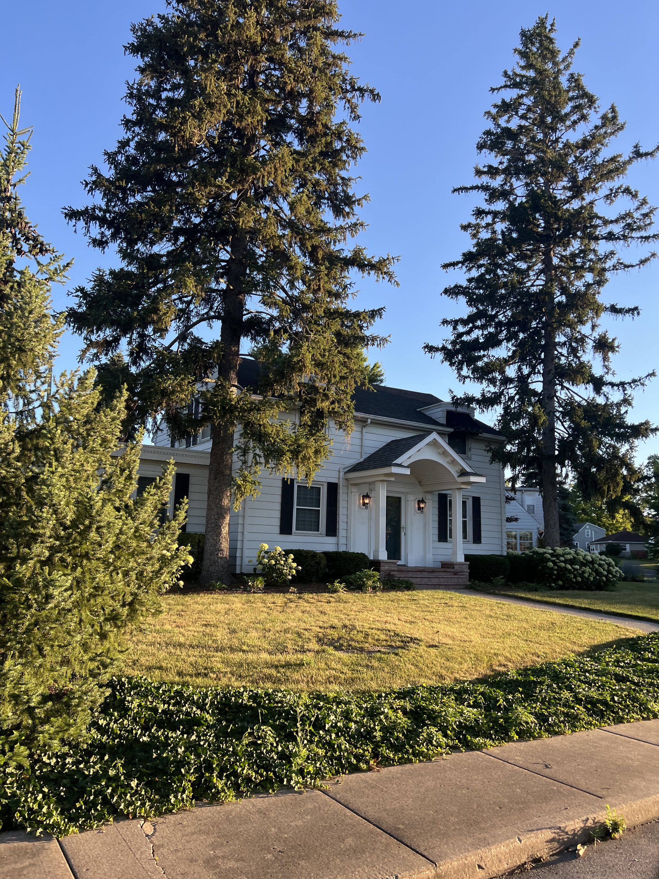White house with front porch, surrounded by tall evergreen trees and a well-kept lawn, under a clear blue sky.
