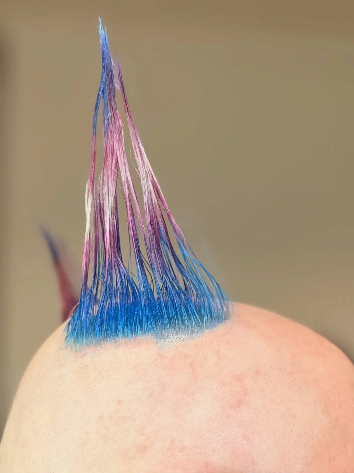 🏳️&zwj;⚧️punk petal 🏳️&zwj;⚧️

The thing I love about this job is the connections I get to make with some of the most awe-inspiring people. Hairdressing isn&rsquo;t just a service, it&rsquo;s a conversation and an opportunity to learn more about ot