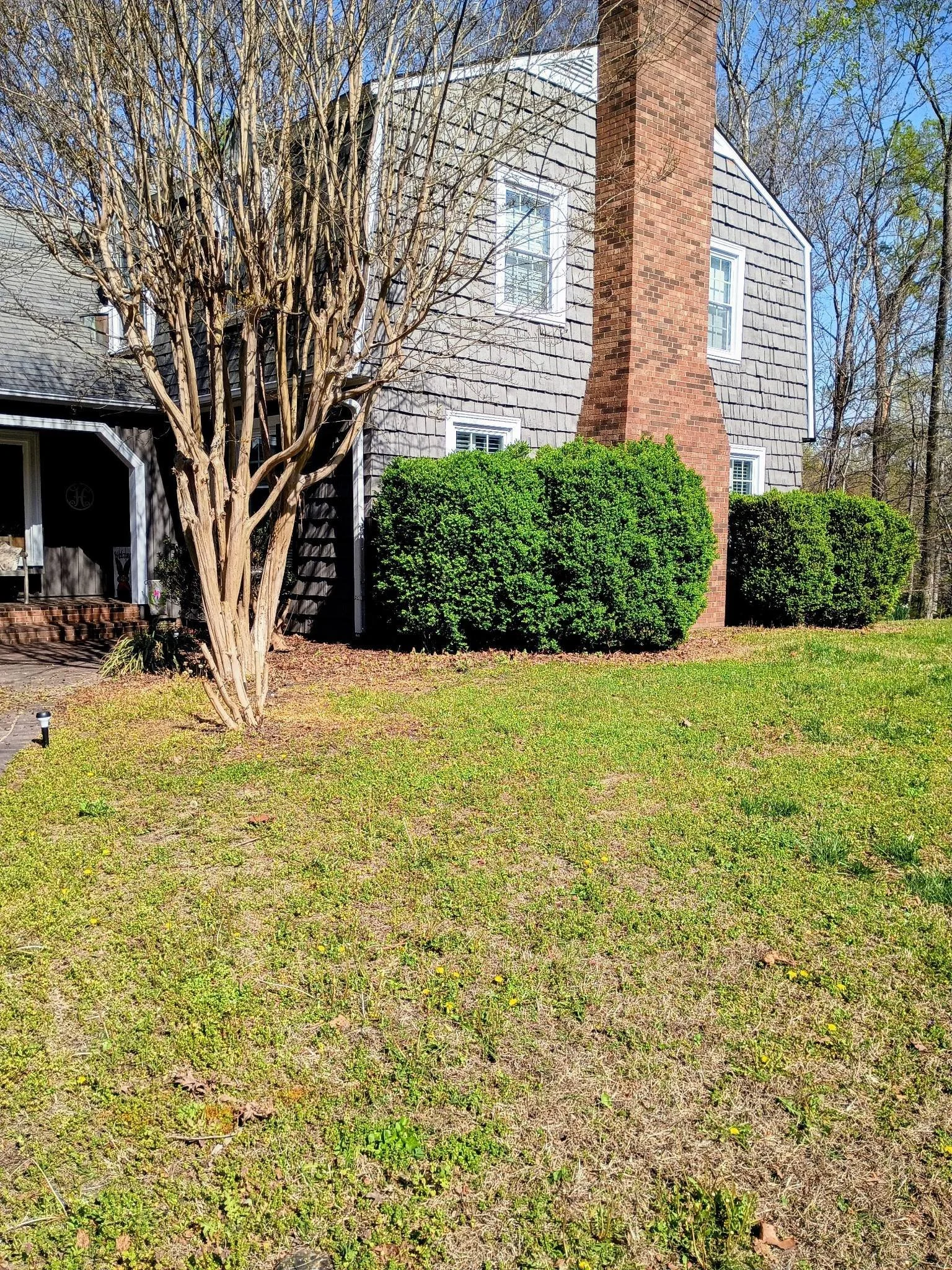 Front yard with a tree, trimmed shrubs, a house with gray shingles, a brick chimney, and a grassy lawn. before mulch bed install