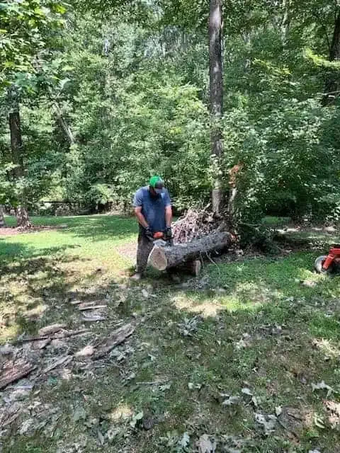 Emergency tree care and debris removal in Davie County NC. Landscaper using a chainsaw to clear a large fallen tree trunk.