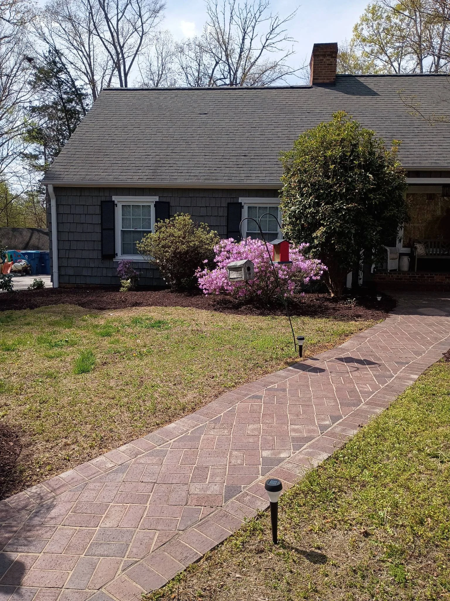 Front view of a suburban house with gray shutters and brick chimney, landscaped yard with pink flowering shrub, green trees, brick walkway lined with small pathway lights, well-maintained lawn, sunny day, realistic photography style. Fresh mulch.