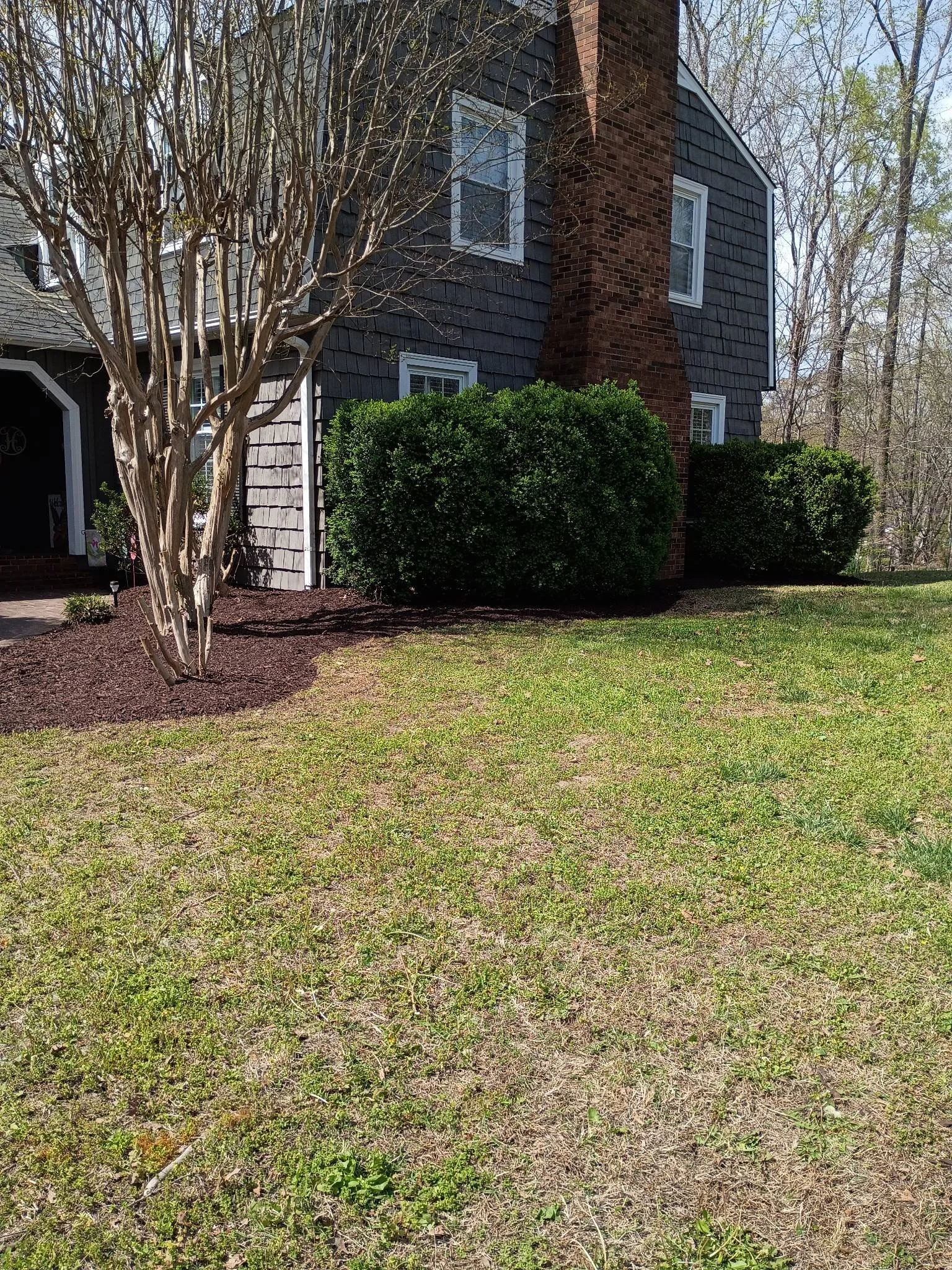 A house with dark siding, brick chimney, and trimmed windows, surrounded by bushes and a small tree, with a grassy yard in the foreground. after fresh brown mulch in mocksville, nc.