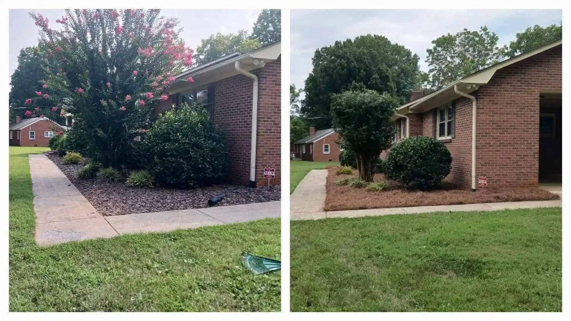Landscape bed maintenance in Mocksville NC. Before and after of neat shrub pruning and fresh pine needle installation.