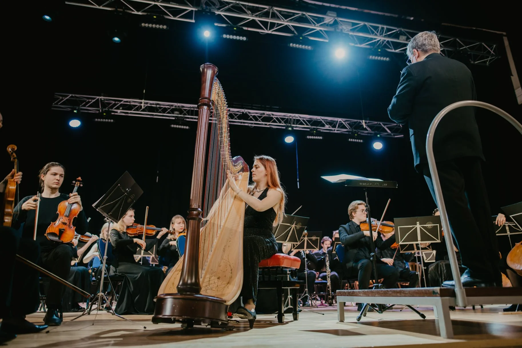 Harpsit Professional Sydney Harpist Justina