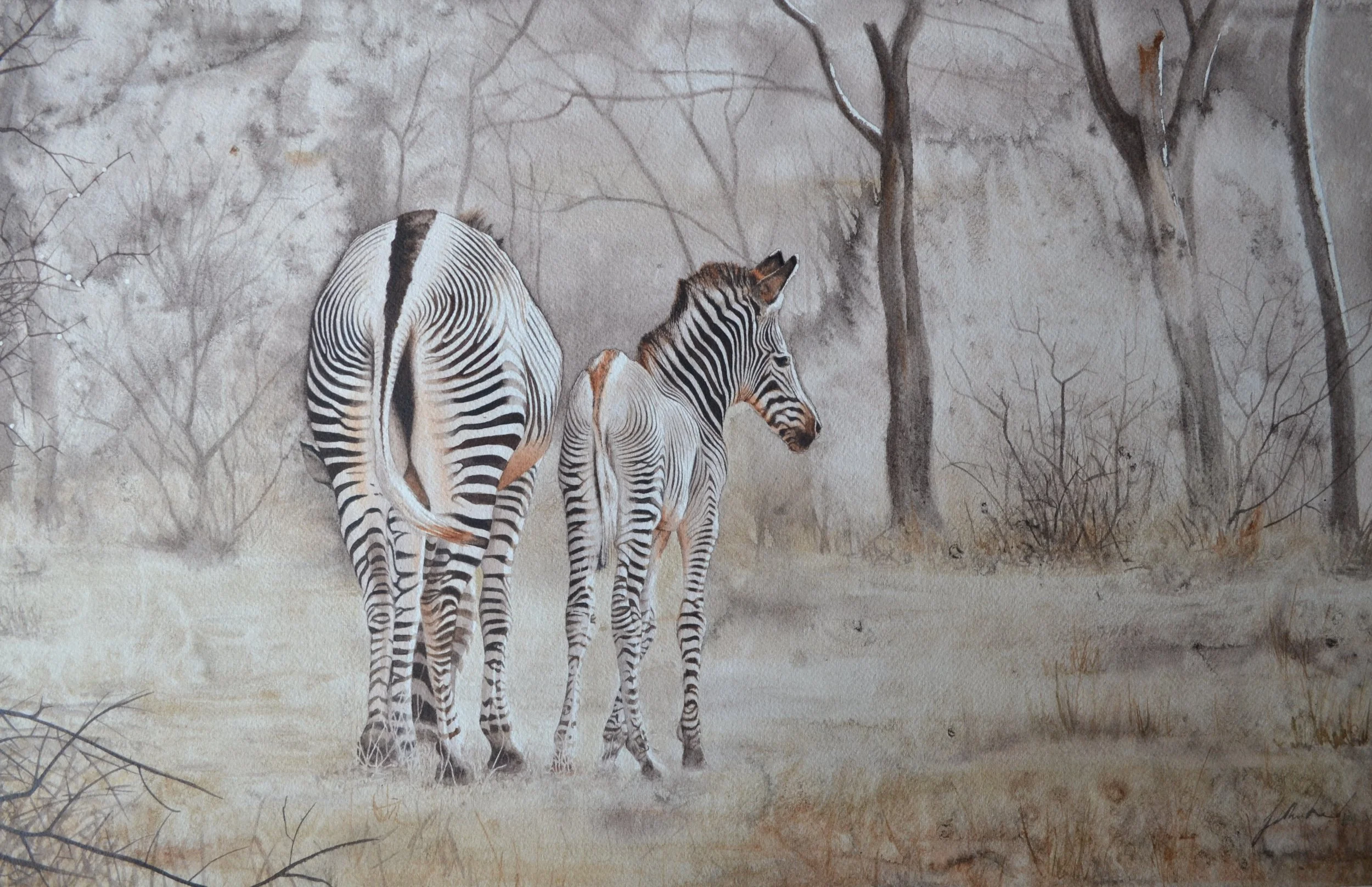 Zebra Butts

Watercolour on paper
Private collection