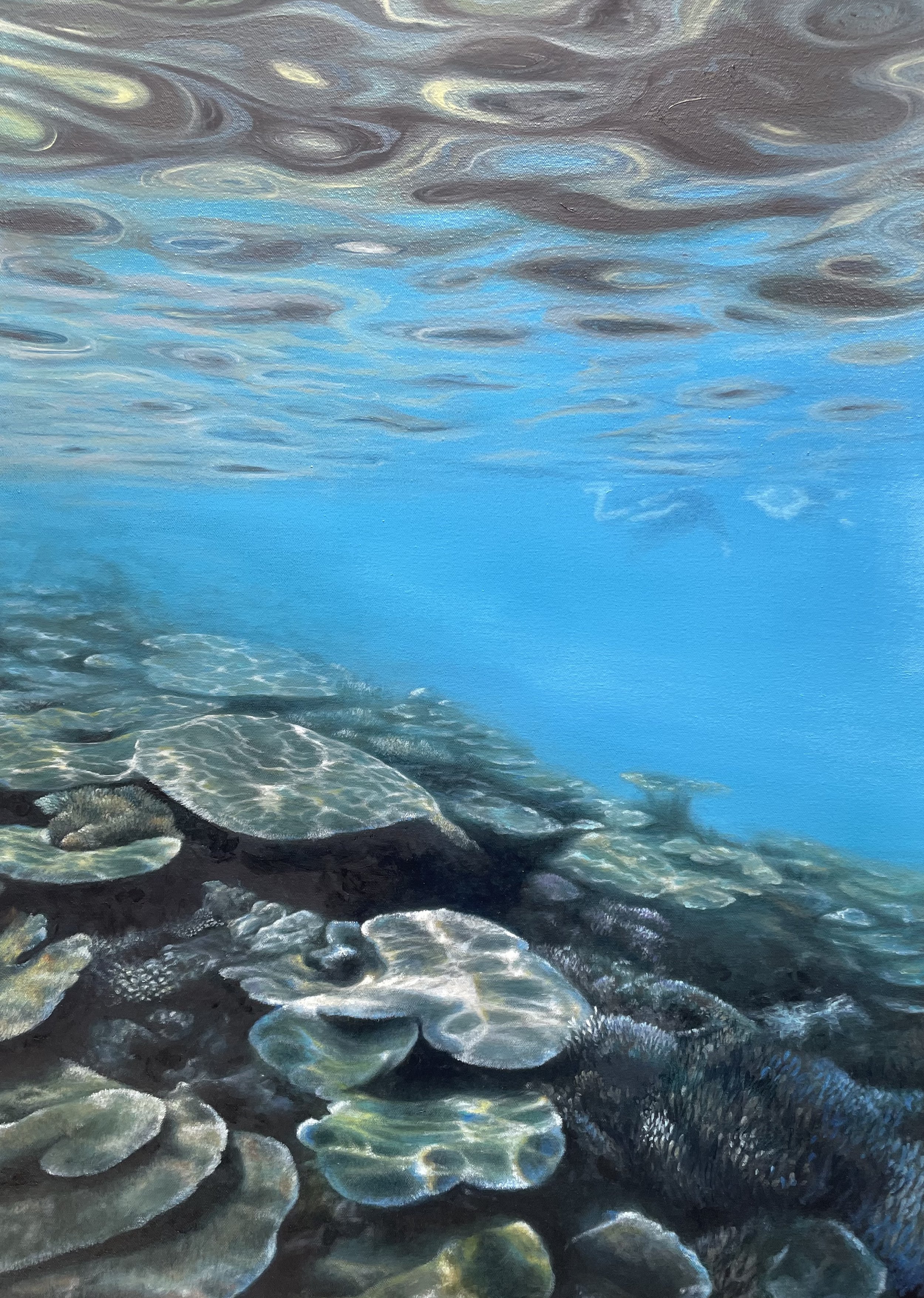 Plate Structure
70x50cm
Oil on canvas