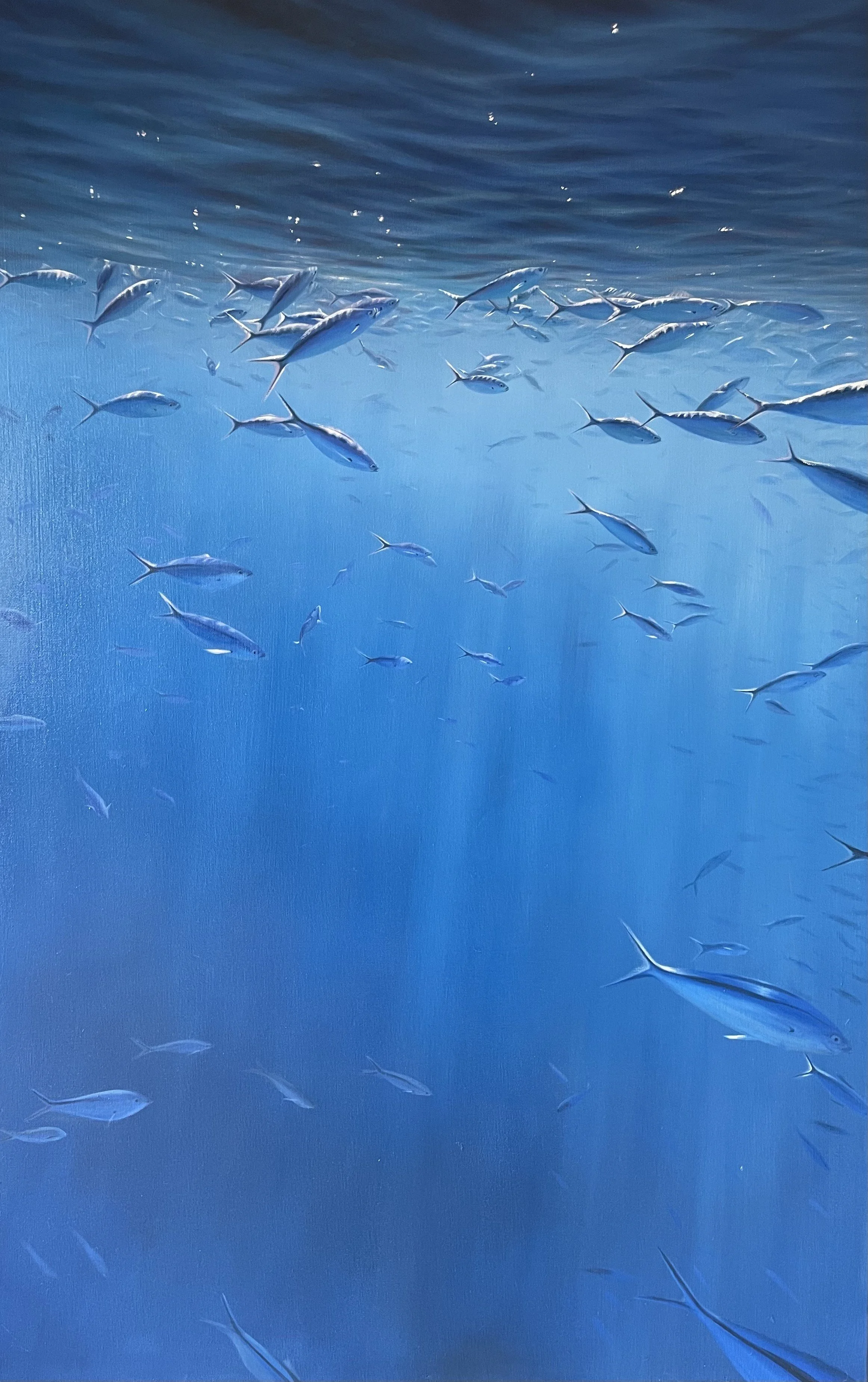 On the Manta Trail
122x76cm
Oil on canvas