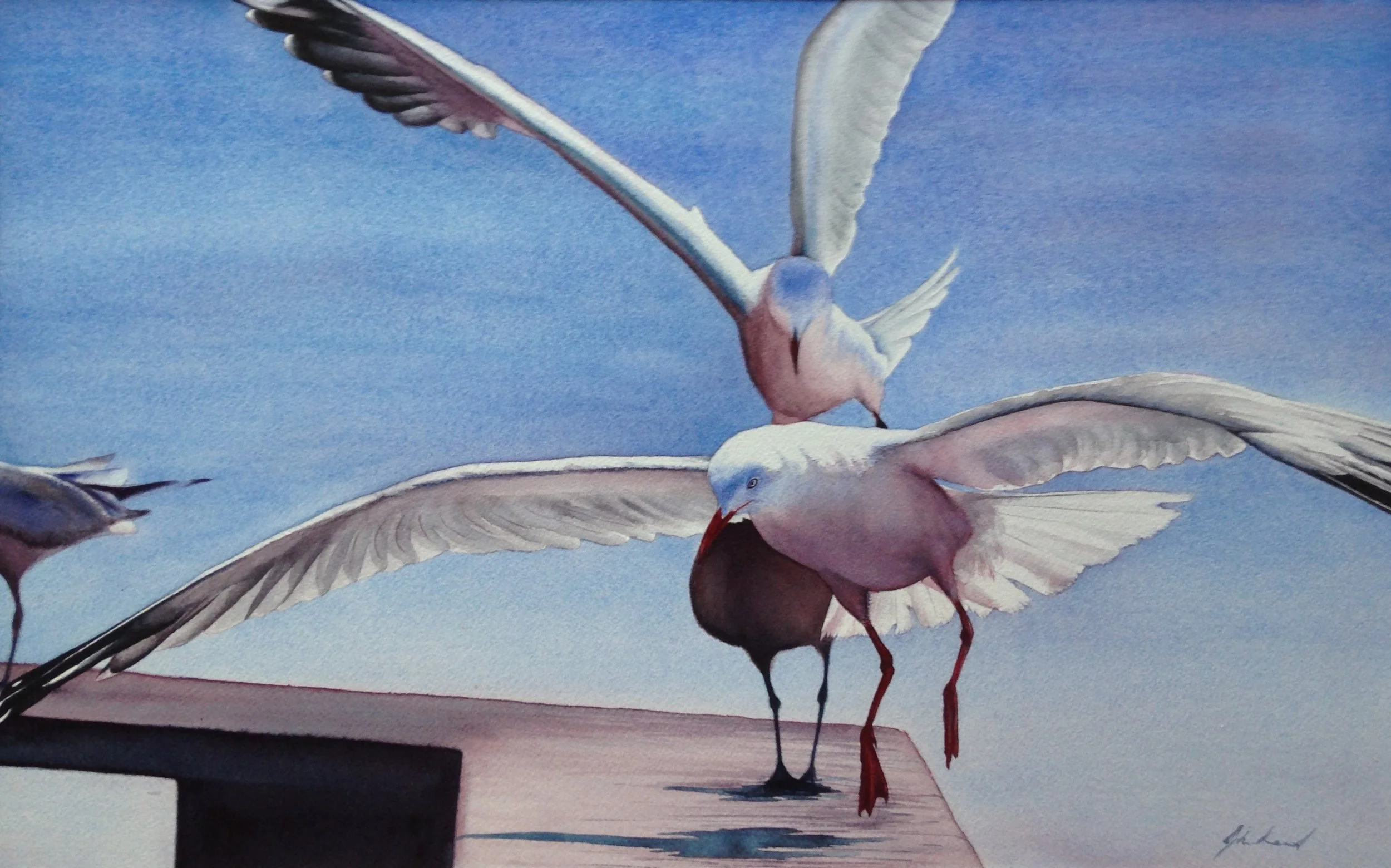 No Chips
Watercolour on paper