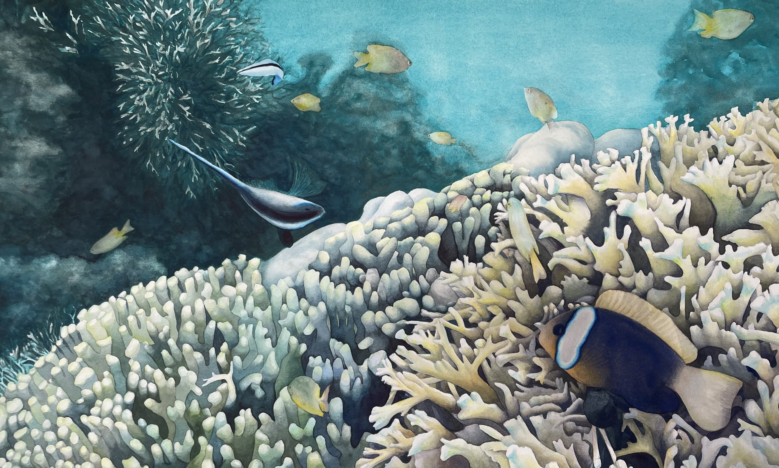 Cleaning Station
50x83cm
Watercolour