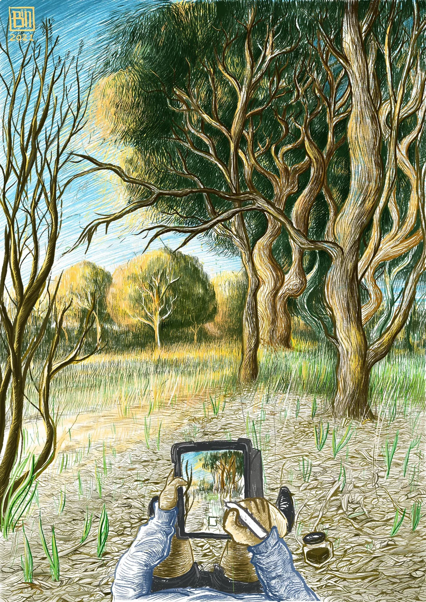 Canberra lockdown during COVID: one hour of outdoor time allowed. I packed coffee and my iPad, walked into the woods, and made peace with the birds.
