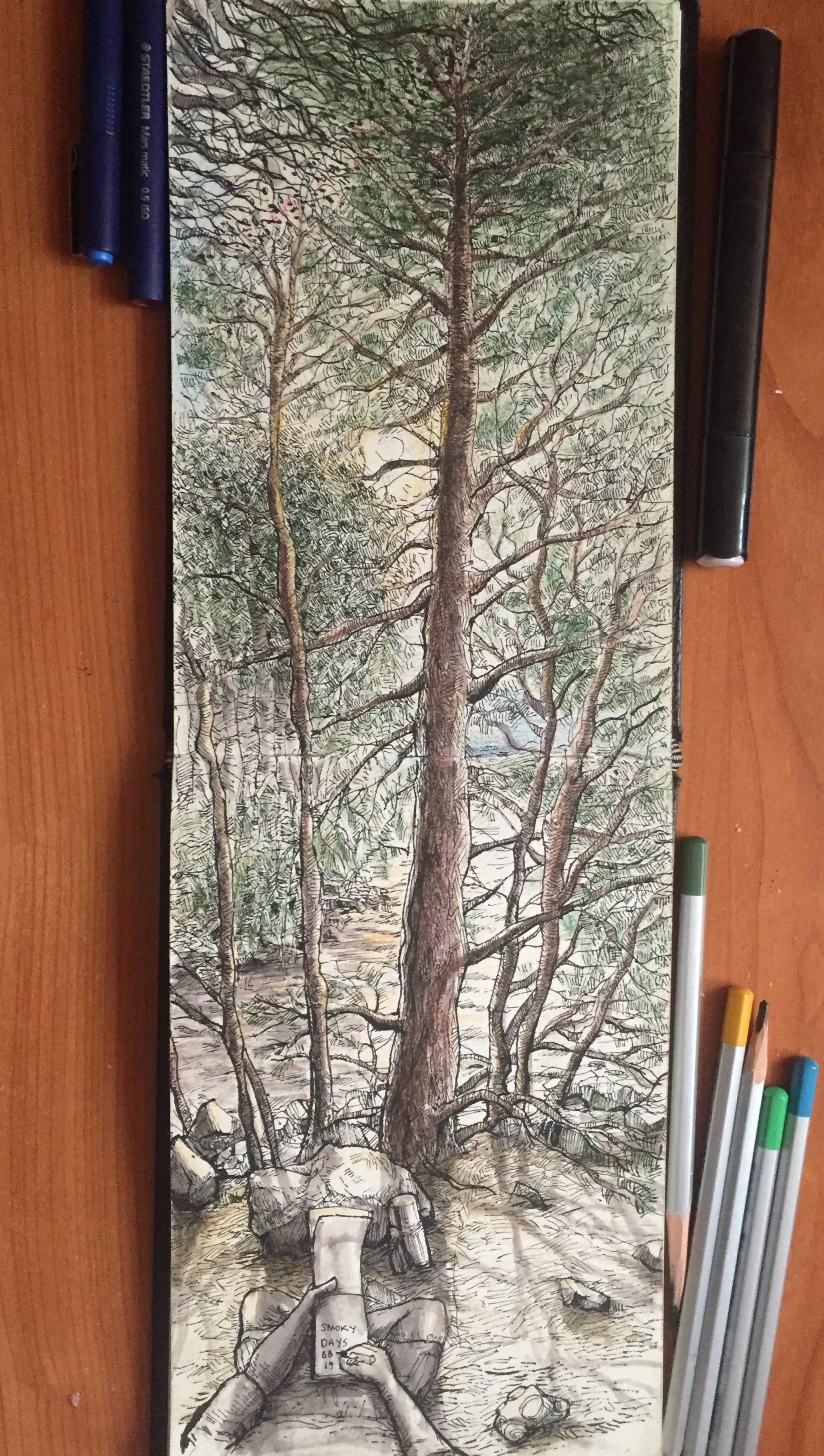 Sketched this at Lake Ginninderra, right before the infamous 2020 bushfire smoke covered the entire city like a blanket of doom.
