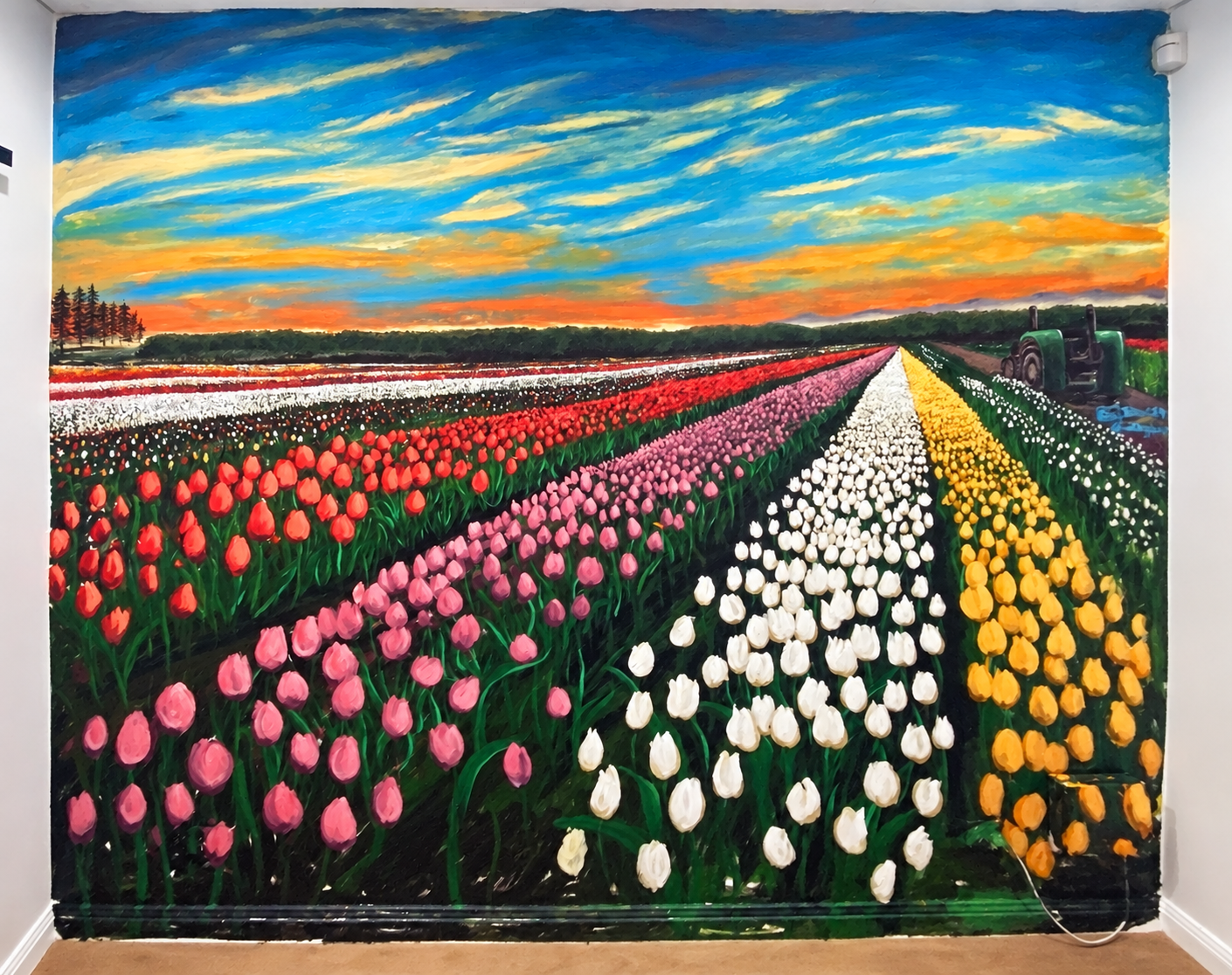 Flower Field - Potts Hill NSW