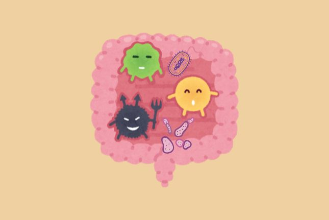 Gut Health/Microbiome Testing: Moving Beyond “Just Taking a Probiotic”