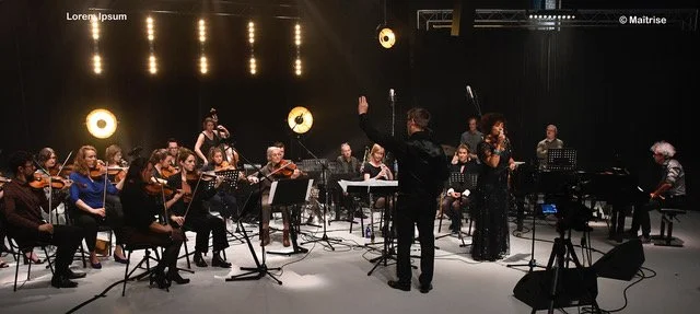 project Amy Winehouse  ©Maîtrise_0056.jpeg