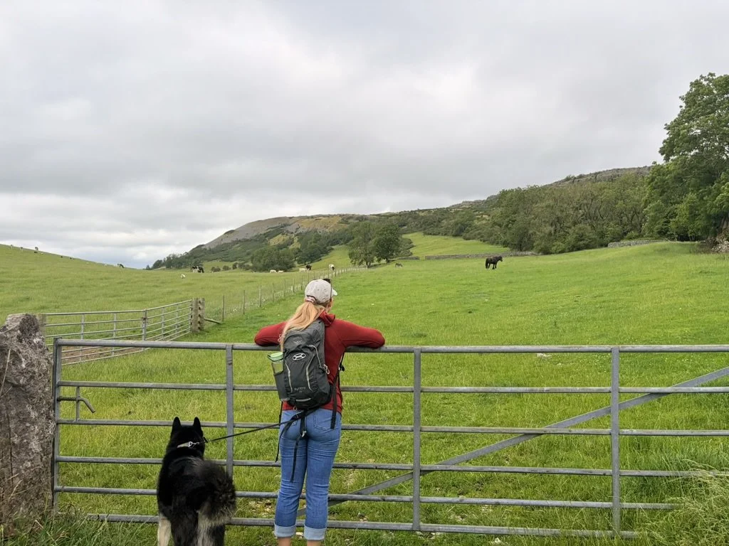 Case Study 12 - Sally's Journey