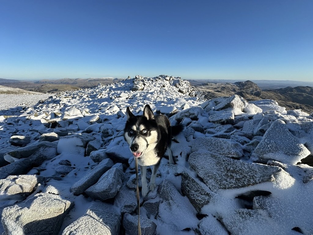 DE9C1F0B-8878-4326-AAA5-2B571FA2504C_1_105_c.jpeg