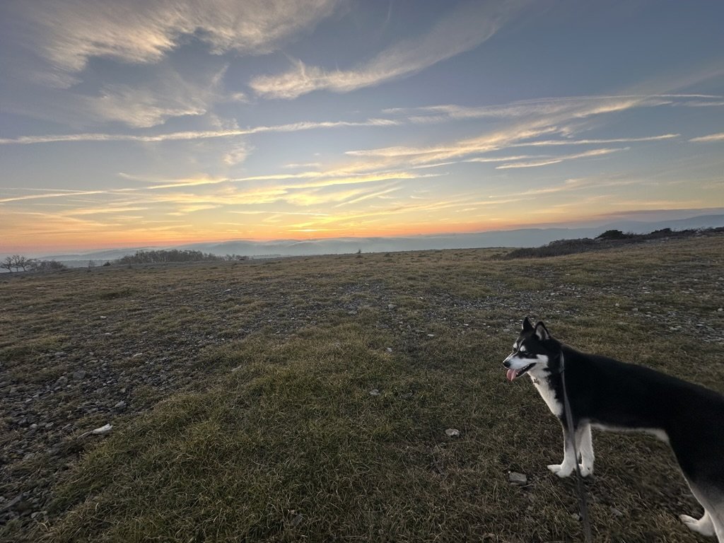 9656331B-04B4-4896-95F2-4F7B26F179C9_1_105_c.jpeg