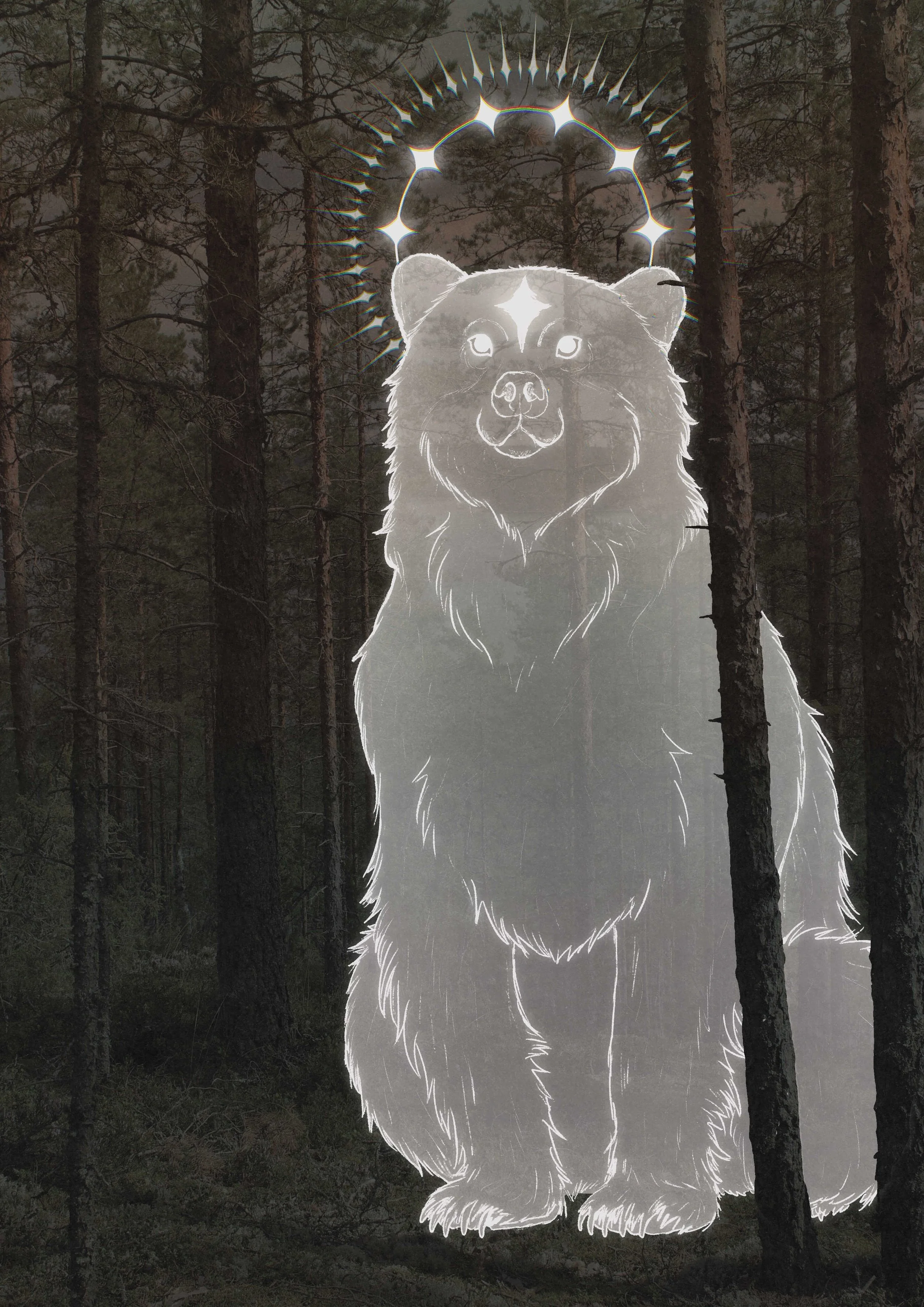 Otava | Great Bear | (2026)
Otava is the Big Dipper, in folklore the celestial origin and home of the Bear. The six stars and seventh on the bear's forehead equal to the constellation's number of stars.