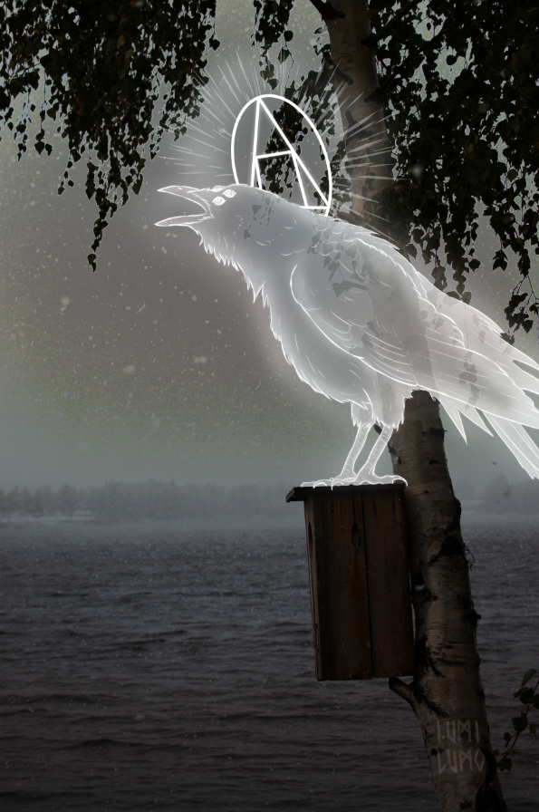 Screenshot 2026-02-21 134952.png