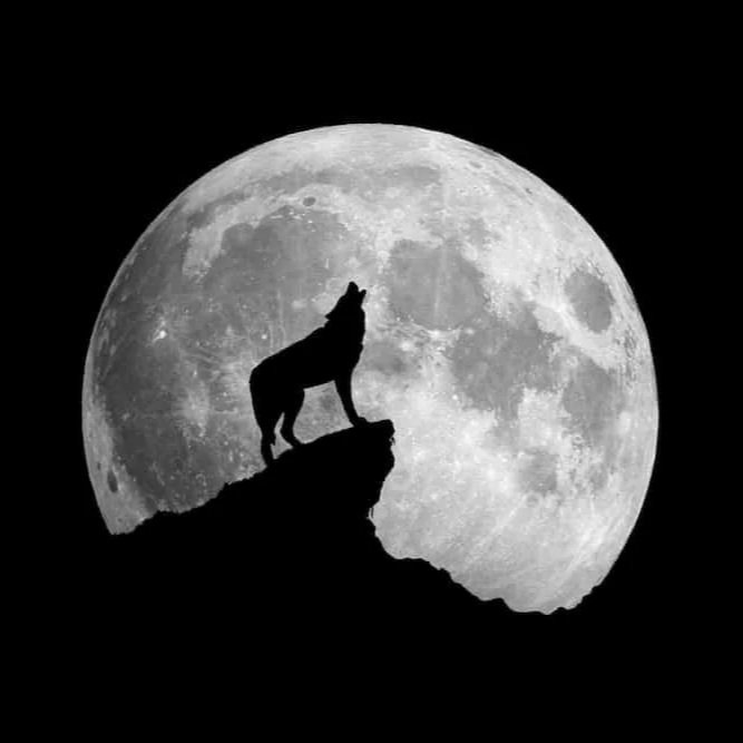 Wolf Moon: Full Moon Gathering with Stag &amp; Moon