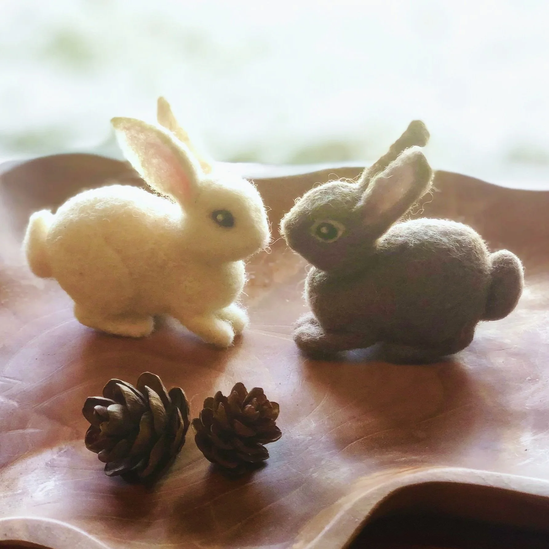 Needle Felted Bunnies for Beginners