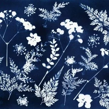 Beginners Cyanotype Class with Jupiter Midnight Art