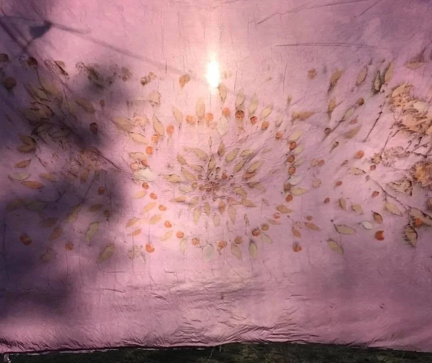 503870222_4159832407633190_8526272654347142496_n.jpg