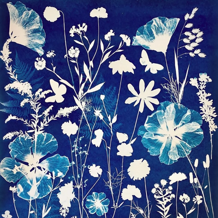 Beginners Cyanotype Class with Jupiter Midnight Art