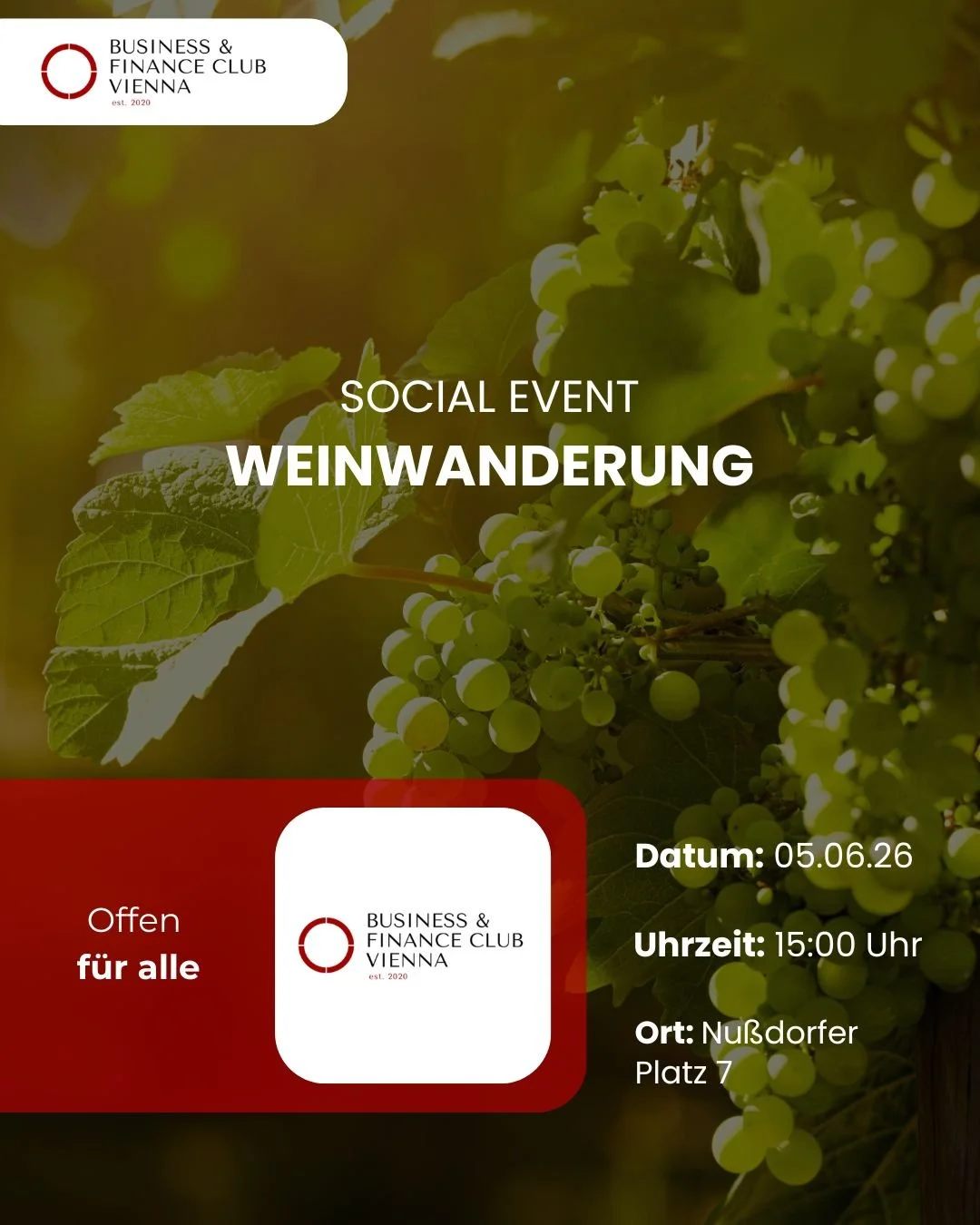 BFC - Weinwanderung