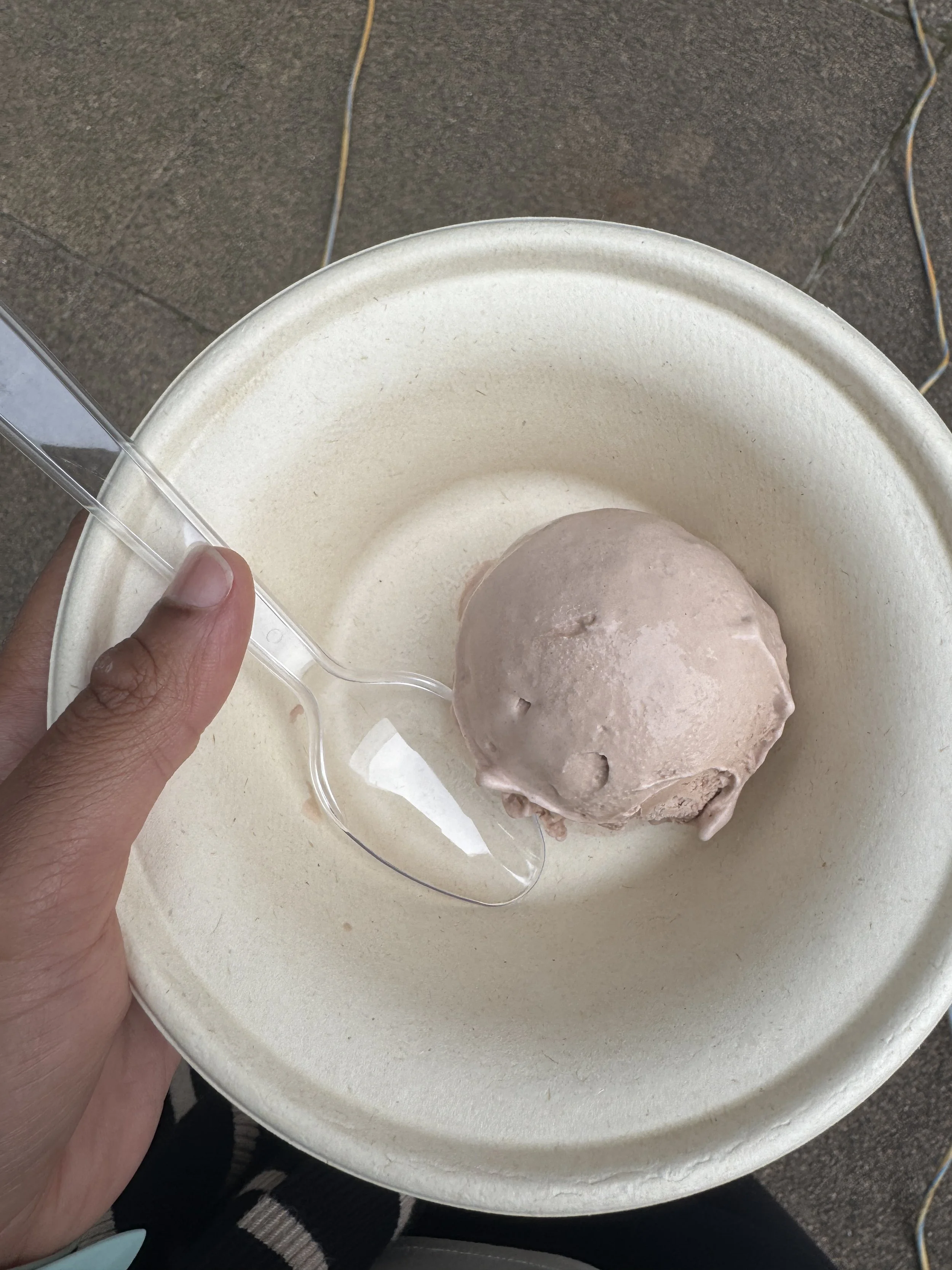 chocolate-ice-cream.JPG