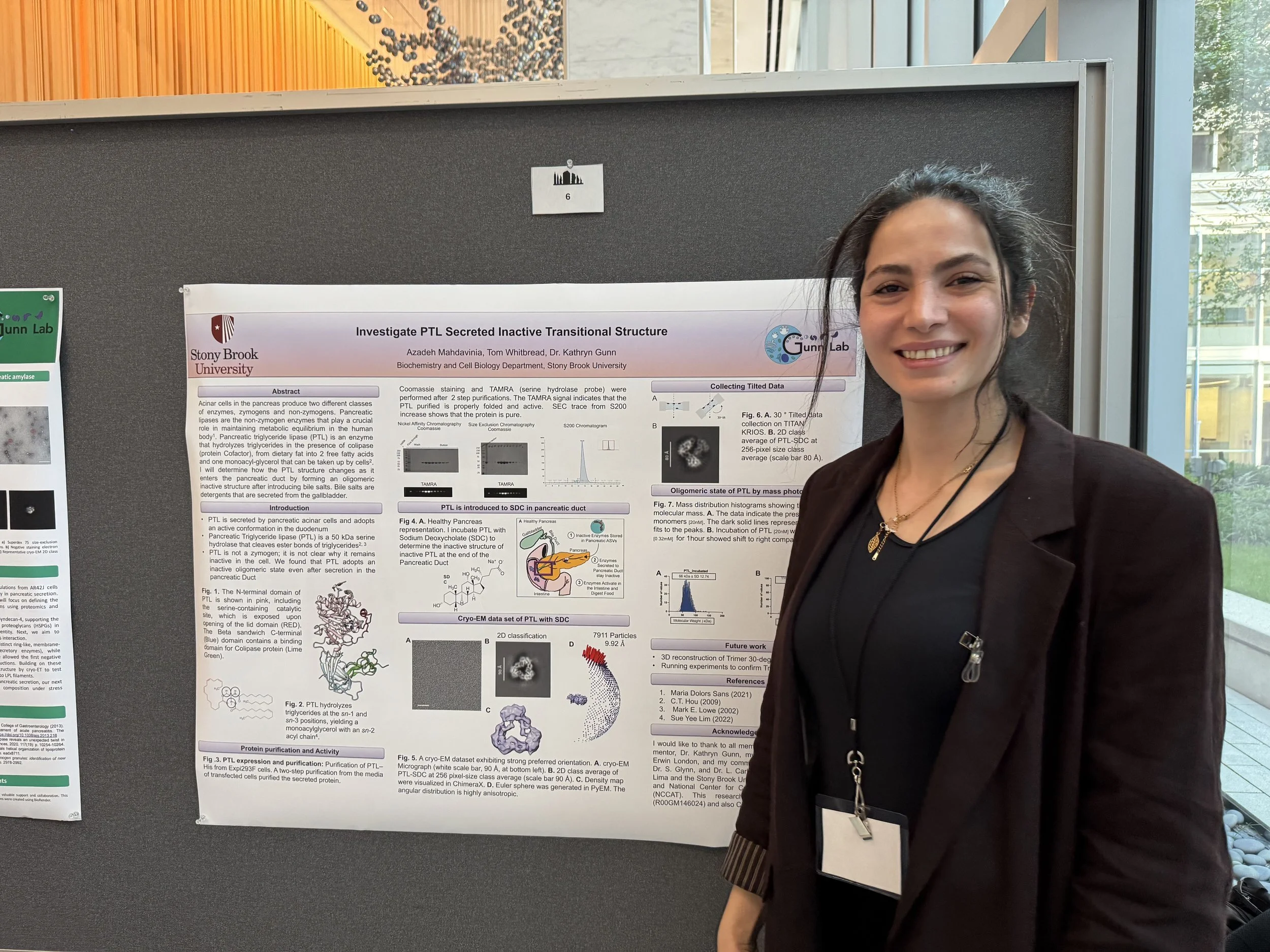 Azi_NY_cryoEM_2026.jpeg