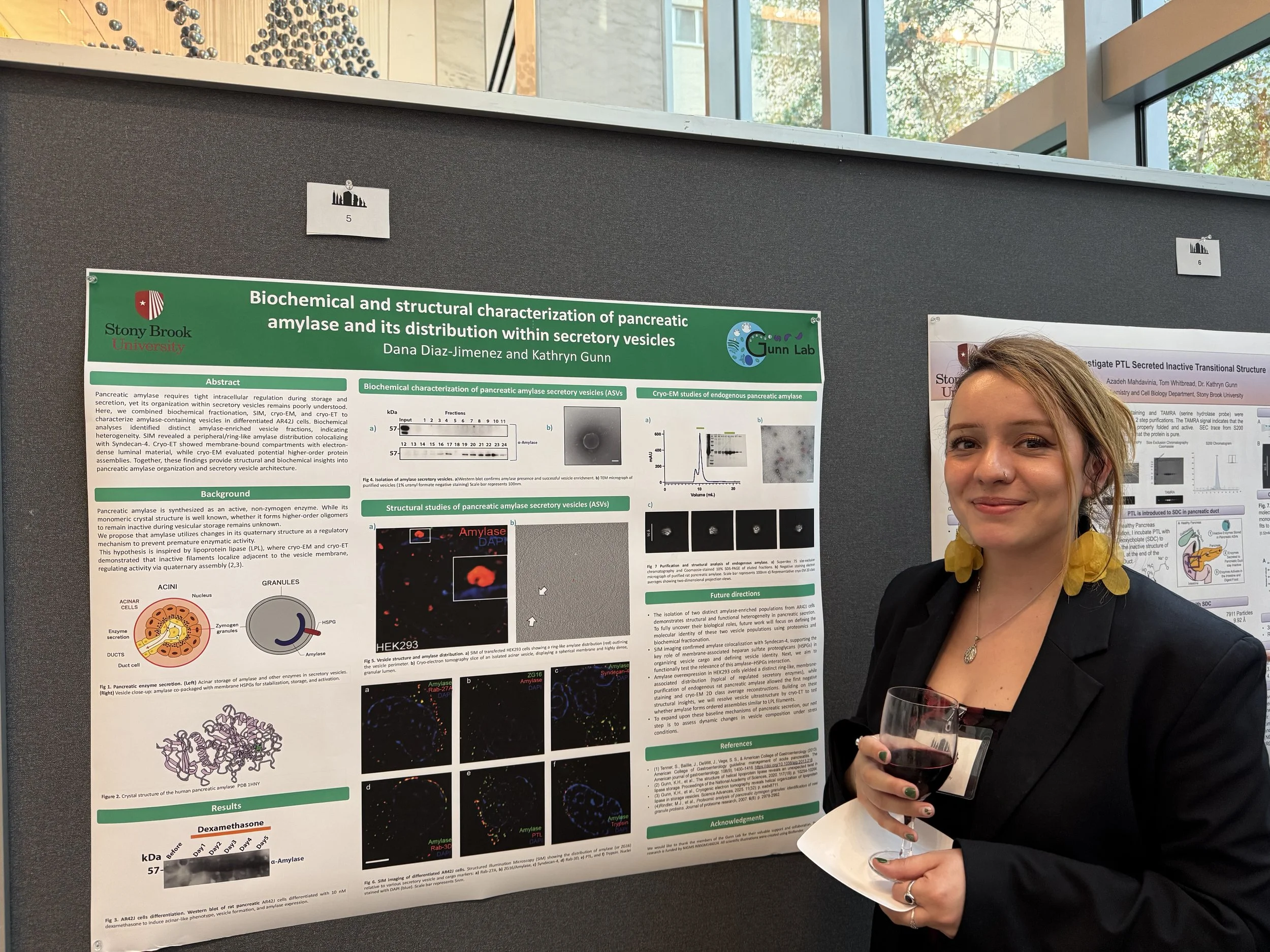Dana_NY_cryoEM_2026.jpeg